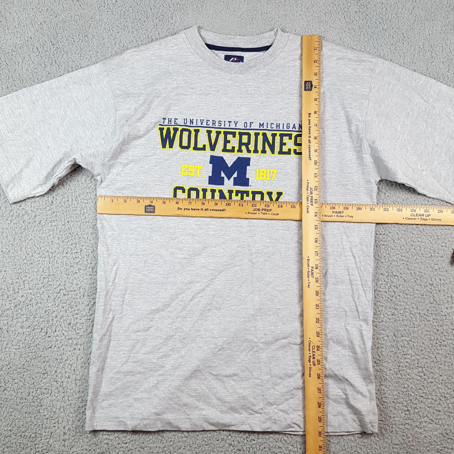 Pro Player Vintage Pro Player Michigan Wolverines College Football T-Shirt Men’s Medium Gray 2000s Y2K Logo Embroidered Size US M / EU 48-50 / 2 - 5 Thumbnail