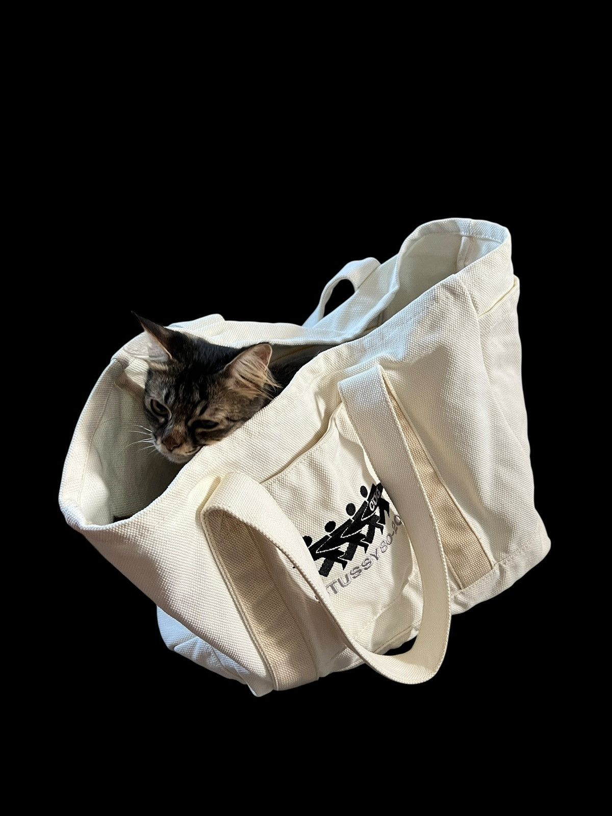 Comme des Garcons × Stussy Stussy x Comme des Garçons Heavy Canvas Tote Bag Size ONE SIZE - 10 Thumbnail