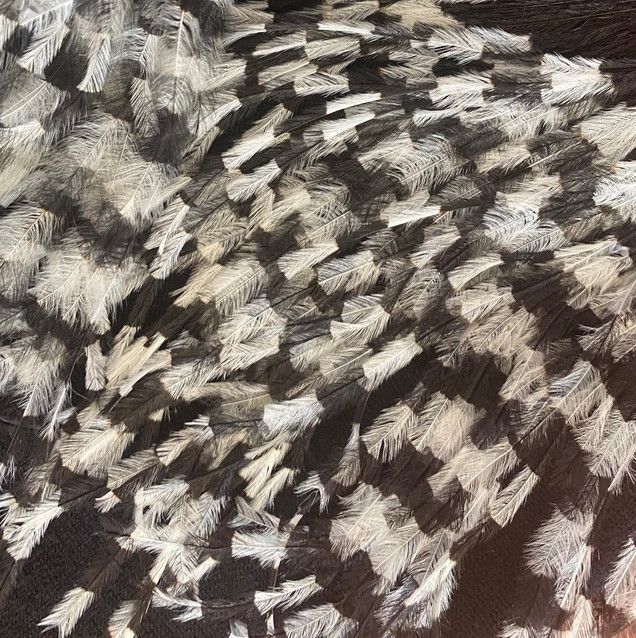 Other Ostrich Feather Cardigan Angelo Tarlazzi Size S / US 4 / IT 40 - 3 Thumbnail