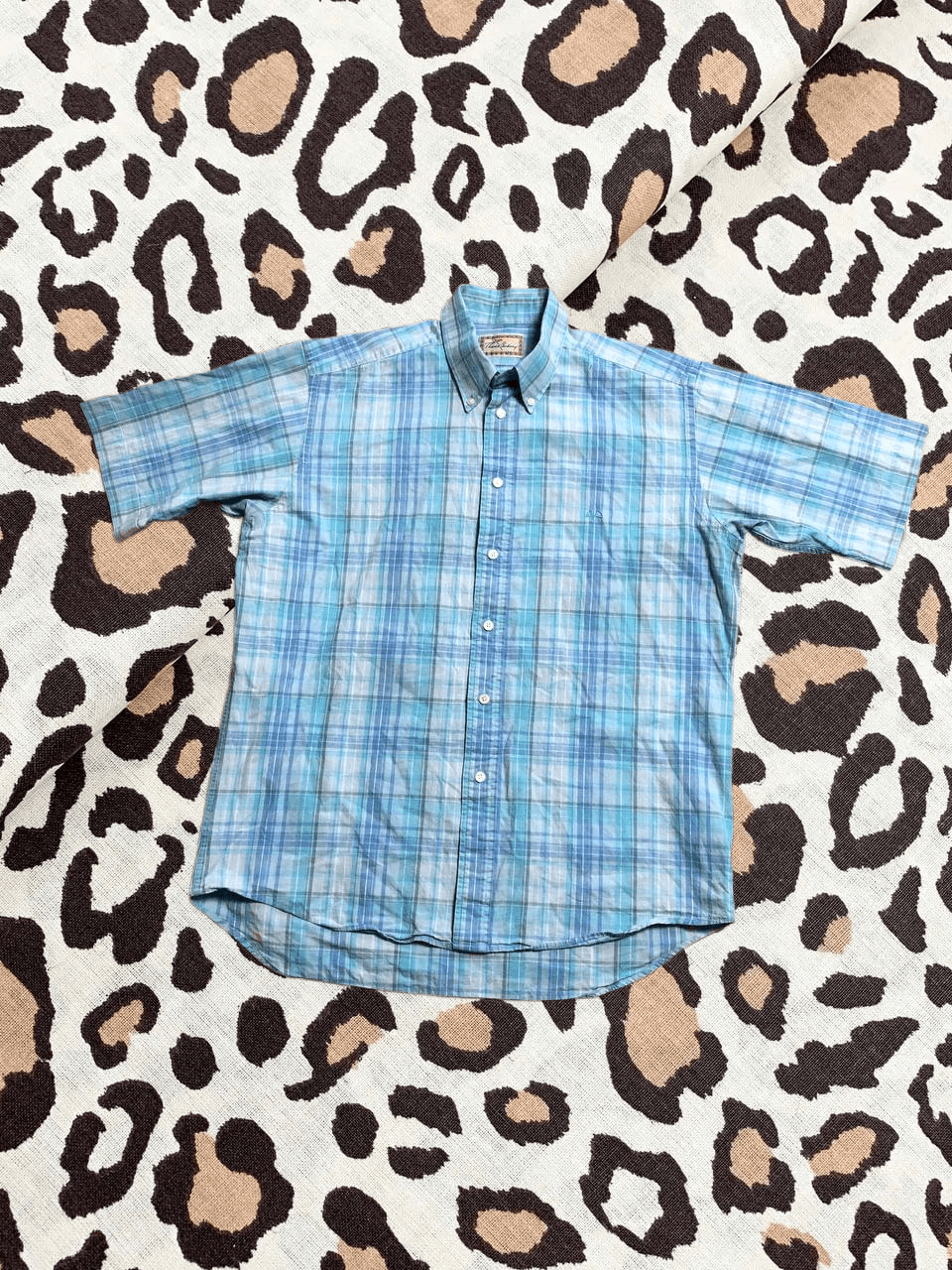 Burberry Mens Shirt Short Sleeve Thomas Burberry Size L Size US L / EU 52-54 / 3 - 1 Thumbnail