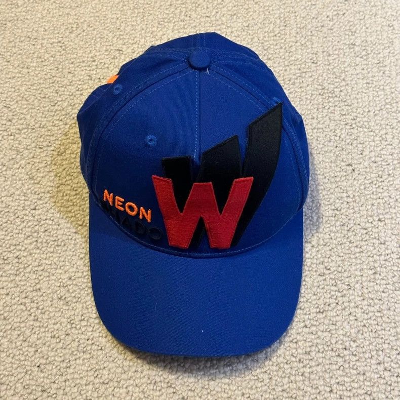 walter van beirendonck Blue cap