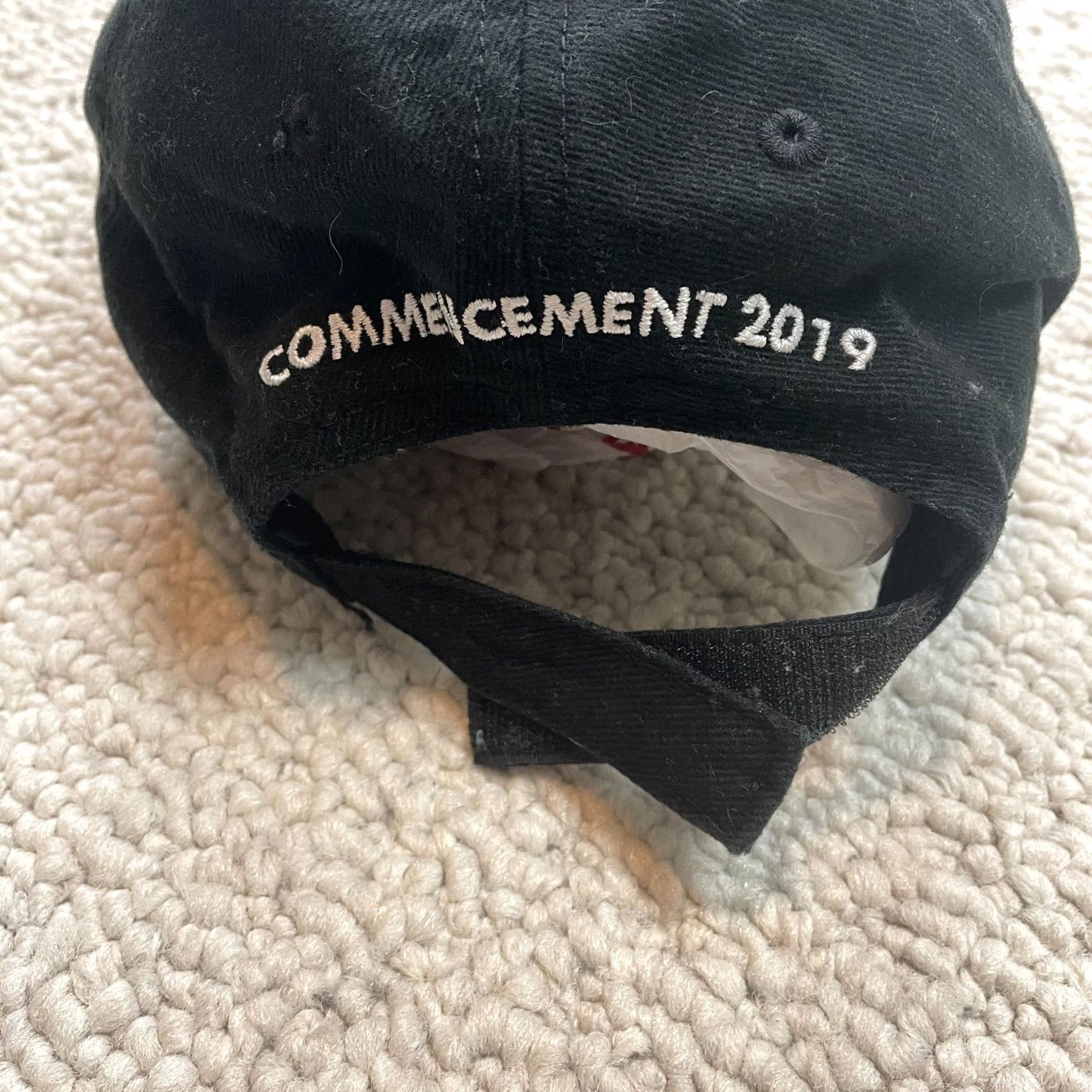 Vintage Aardvark Baseball Hat Cap Unisex Adults OSFM Black Chapman University Commencement 2019 Adjustable Size ONE SIZE - 6 Thumbnail