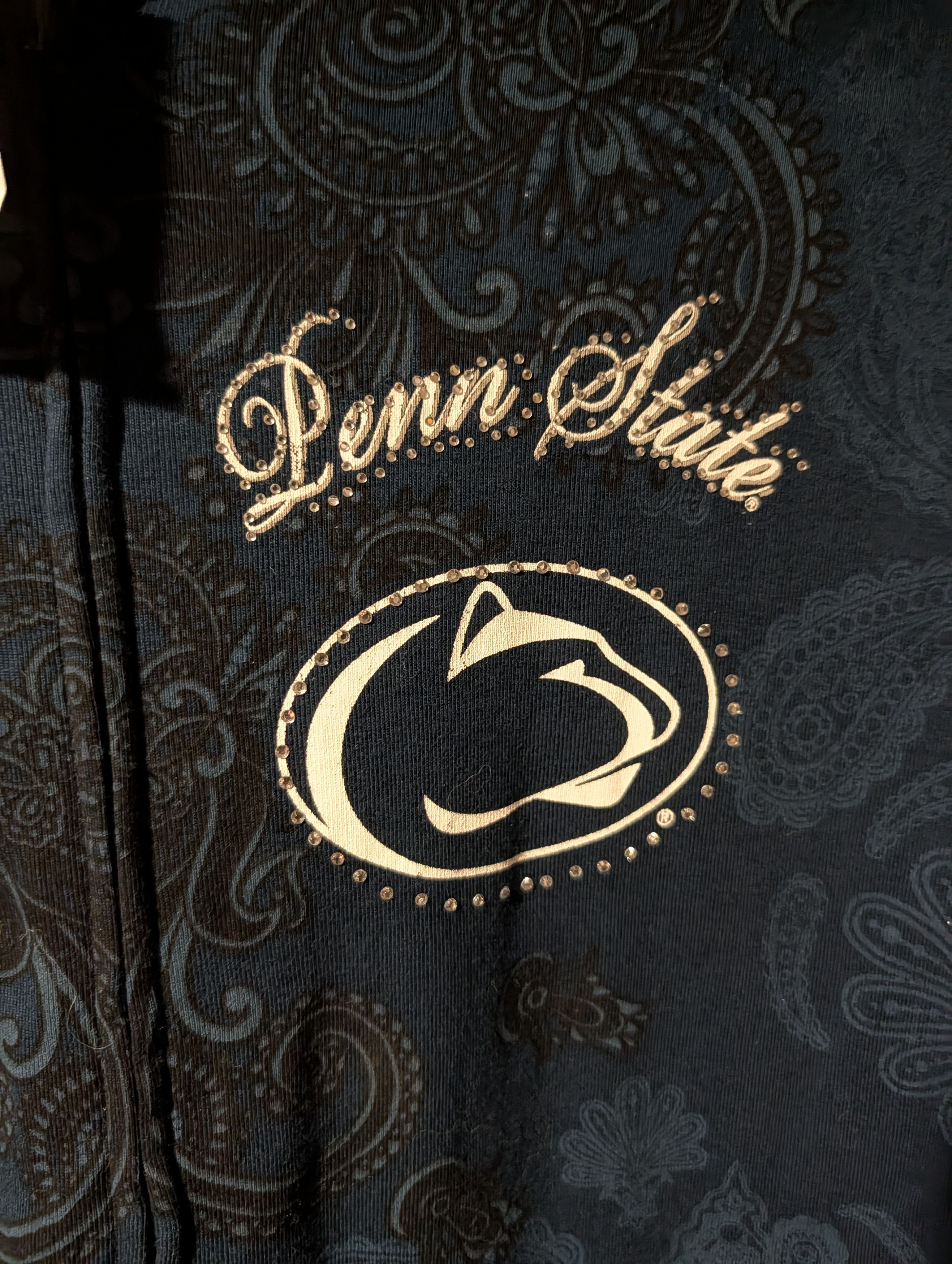 NCAA NWT Penn State Nittany Lions Hoodie Paisley Studio Y2K Size L / US 10 / IT 46 - 2 Thumbnail