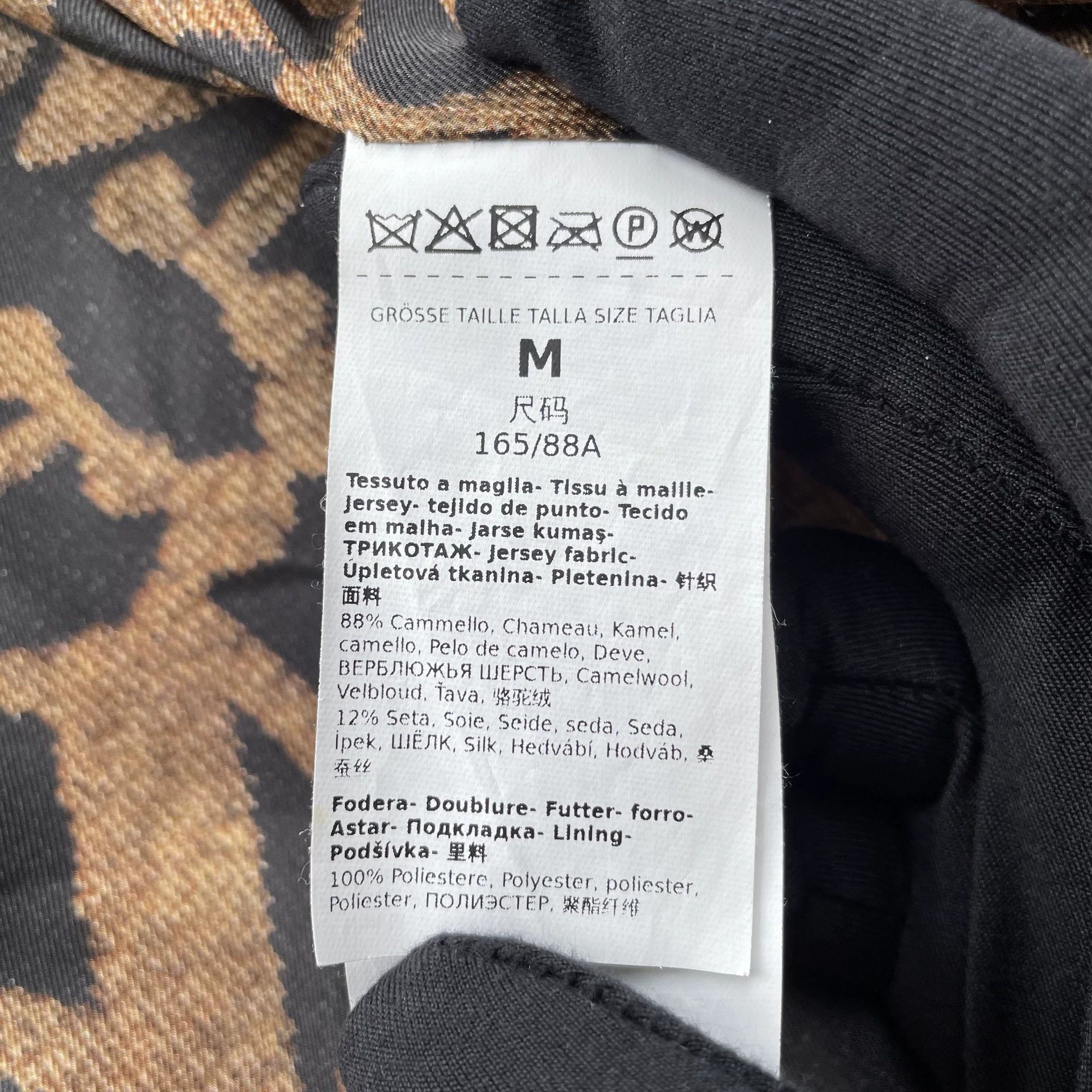 Max Mara MaxMara Teddy Runway Oversized Camel Women's M Coat Size M / US 6-8 / IT 42-44 - 6 Thumbnail