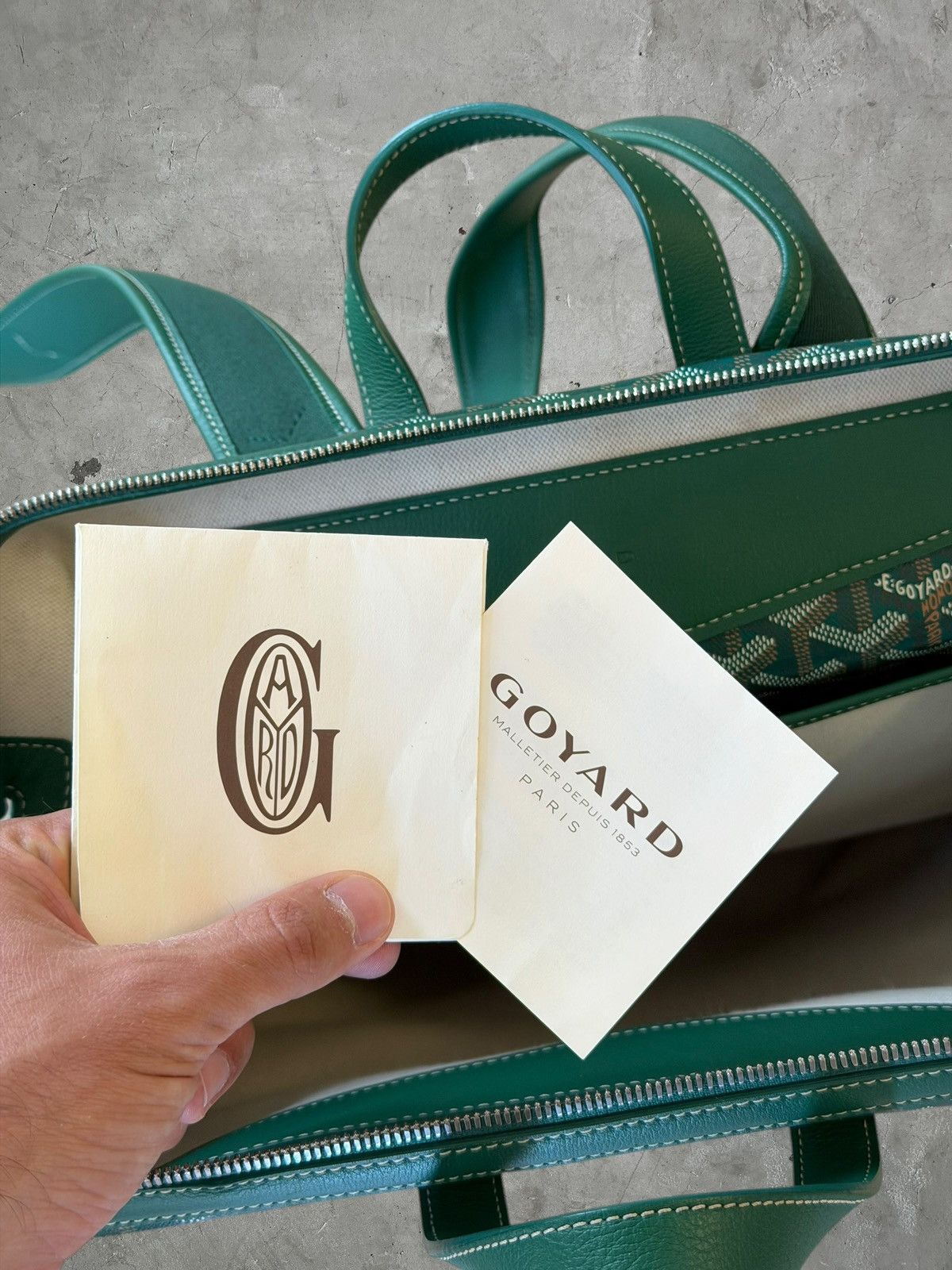 Goyard Goyard Green Cisalpin Backpack Size ONE SIZE - 13 Thumbnail