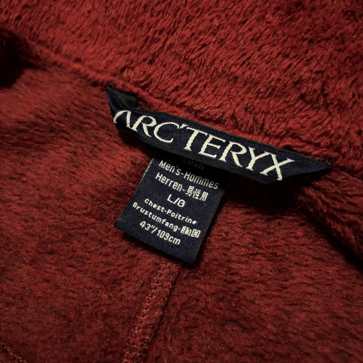 Arc'teryx Arc’teryx Delta AR Polartec Fleece Jacket Size US L / EU 52-54 / 3 - 6 Thumbnail