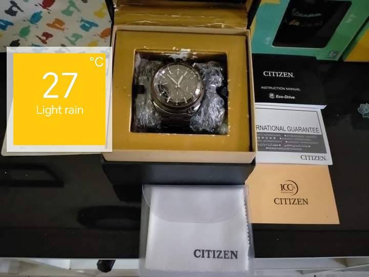 Citizen Citizen Promaster Tsuno Eco Drive 100th Anniversary Size ONE SIZE - 11 Thumbnail
