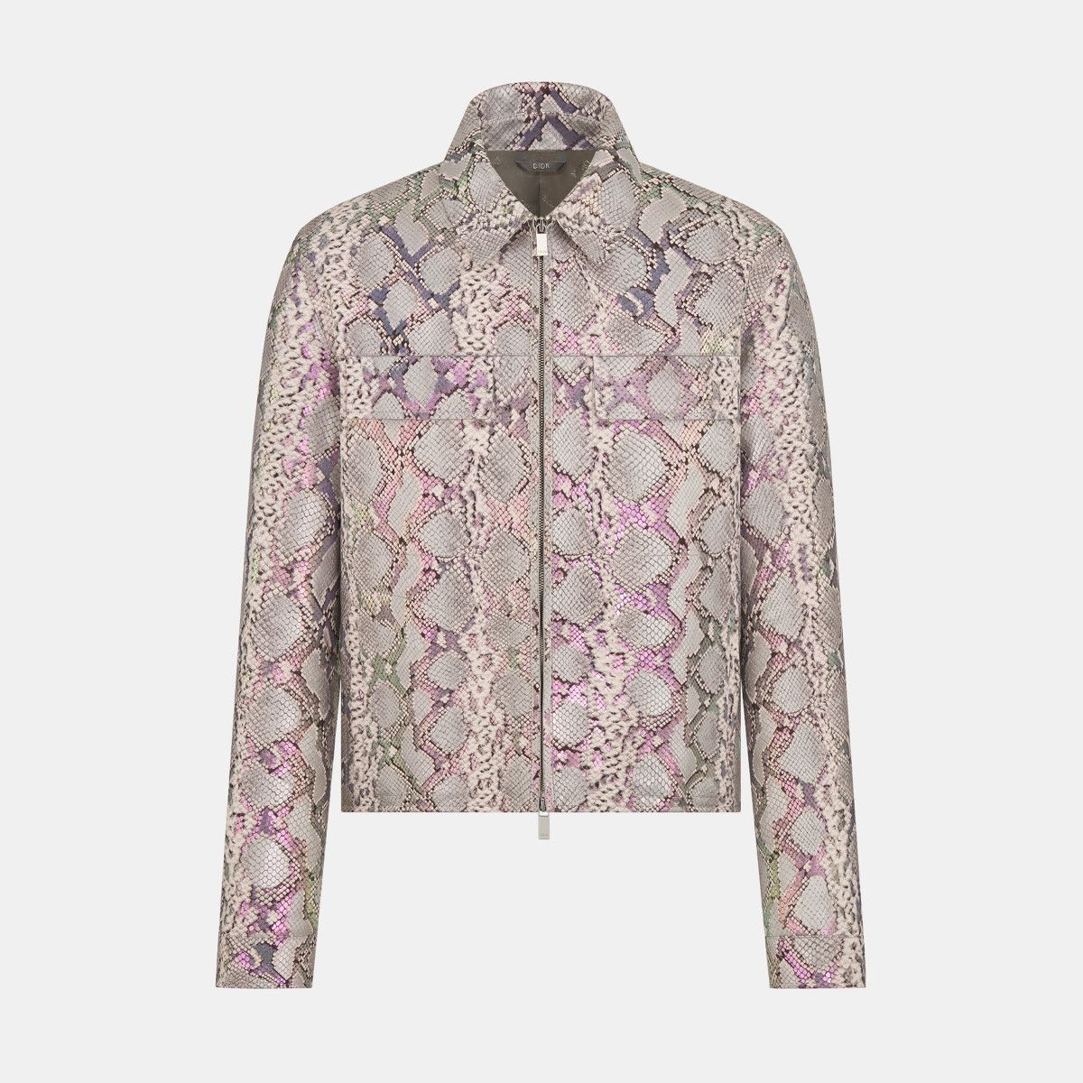 Dior o1bcso1str0125 Python-Effect Blouson in Grey Size US M / EU 48-50 / 2 - 1 Thumbnail