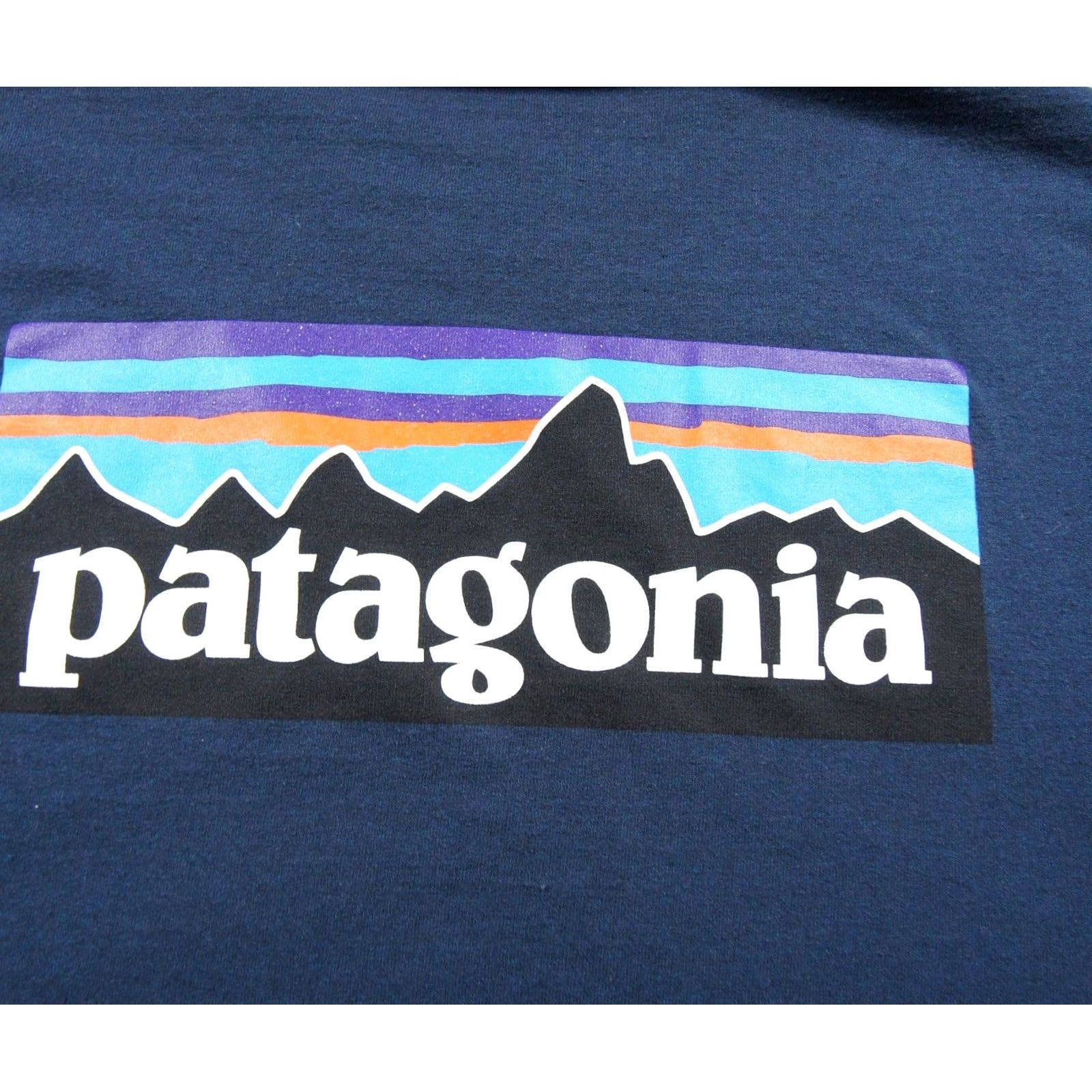 Patagonia Patagonia Shirt Mens Small Blue Graphic Tee Short Sleeve Crewneck Outdoors Shirt Mens Small Blue Graphic Tee Crewneck Outdoors Size US S / EU 44-46 / 1 - 7 Thumbnail