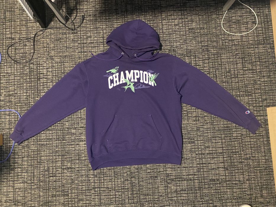 Purple and green online champion hoodie