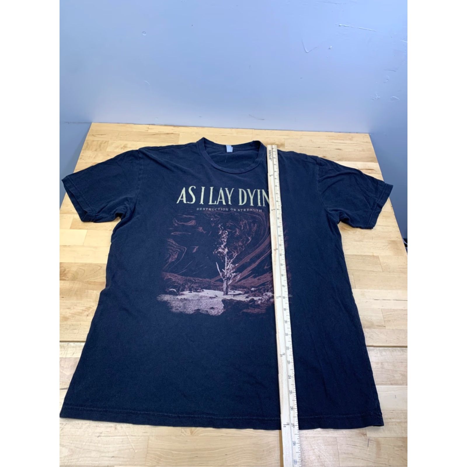 Silas VINTAGE As I Lay Down Destruction or Strength Shirt Mens L Black Faded Rock Band 12448 Size US L / EU 52-54 / 3 - 4 Thumbnail
