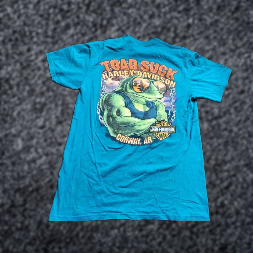 Harley Davidson Harley Davidson Motorcycle T-Shirt Mens M Blue Double-Sided Short Sleeve Crew Neck Size US M / EU 48-50 / 2 - 1 Thumbnail