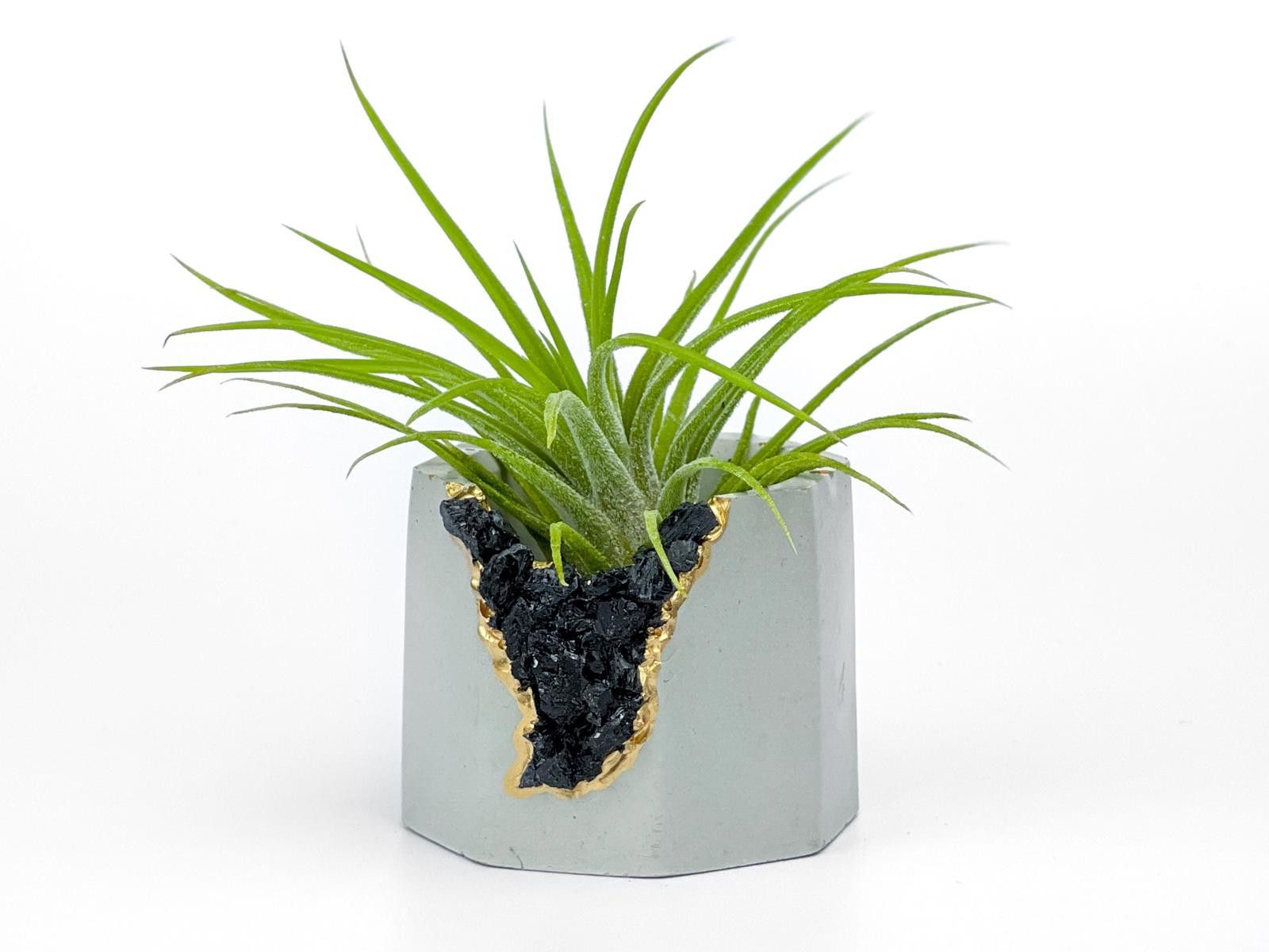 Other Black Tourmaline Geode Planter Handmade Succulent Pot yoga Size ONE SIZE - 6 Thumbnail
