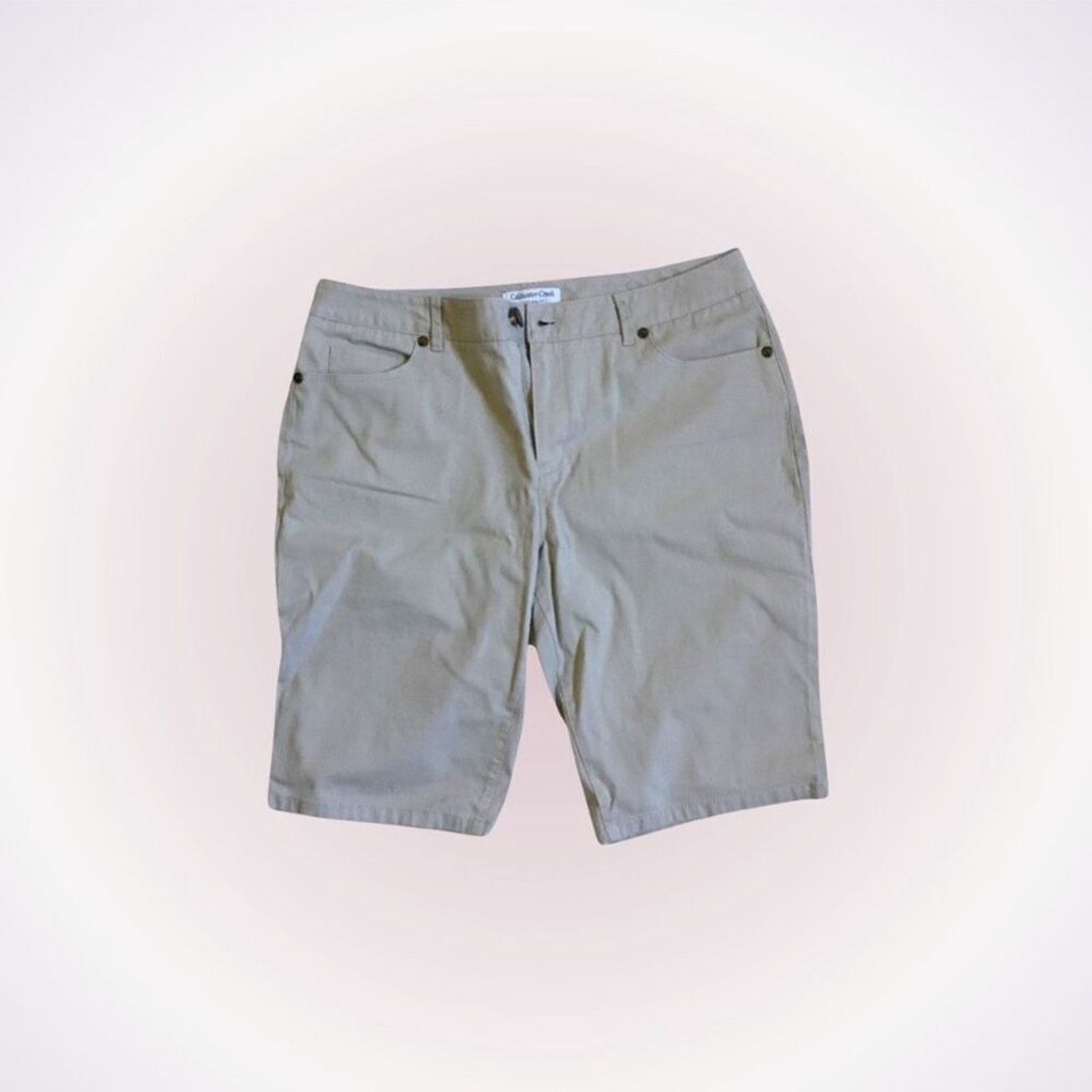 Coldwater Creek Coldwater Creek Tan Bermuda Shorts | Sz 10 Size 32" / US 10 / IT 46 - 1 Thumbnail