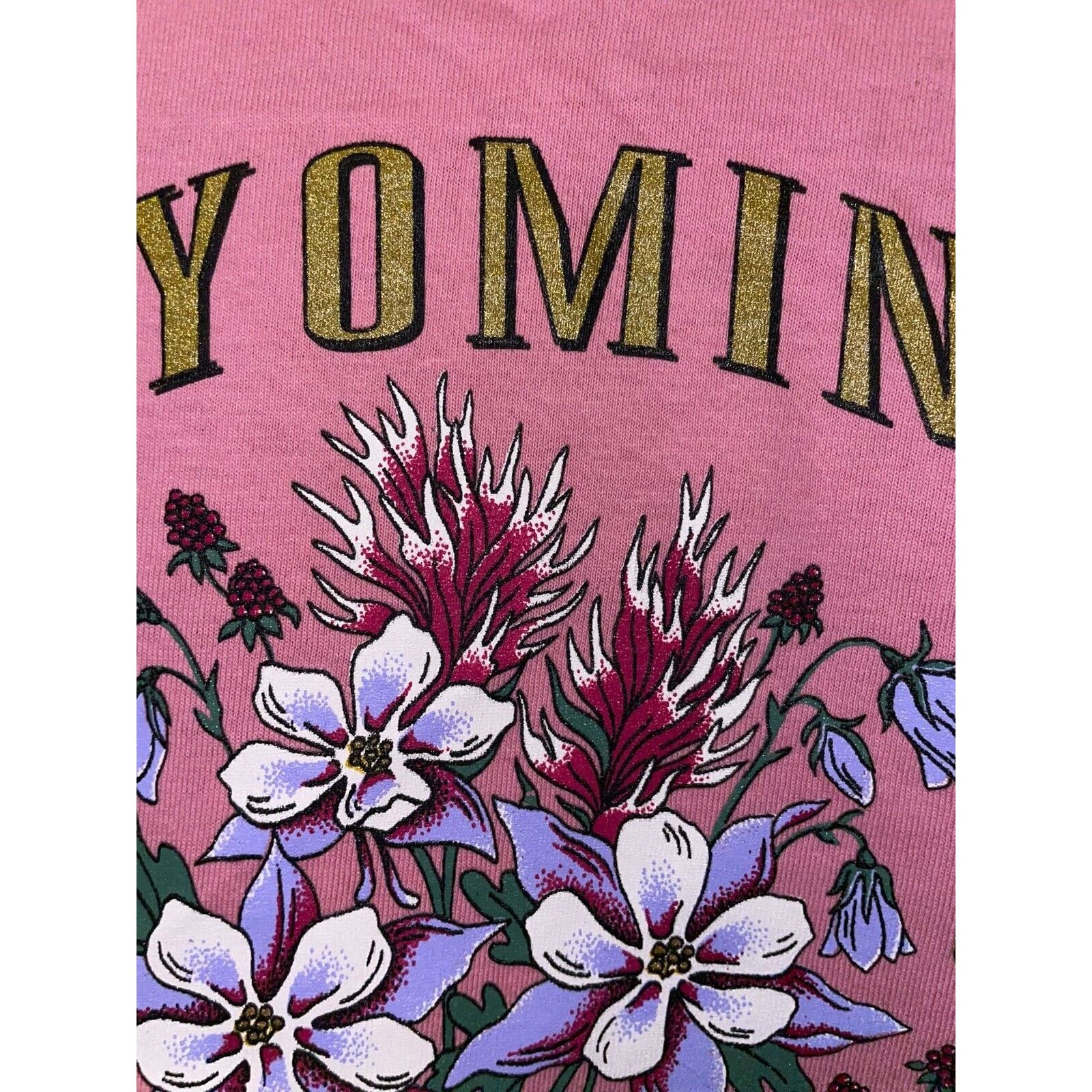 Jerzees Vintage Wyoming Wildflower Shirt Big Horn Pink Tee VTG 90s S Size US S / EU 44-46 / 1 - 5 Thumbnail
