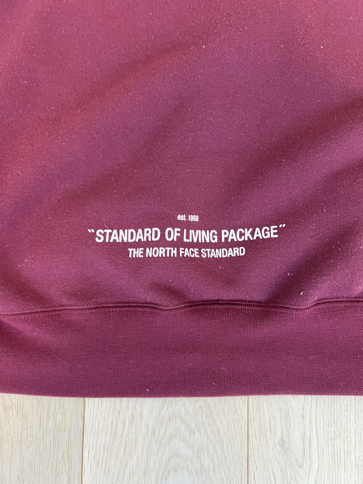 The North Face North Face Standard Japan Exclusive Hoodie Size US L / EU 52-54 / 3 - 4 Thumbnail