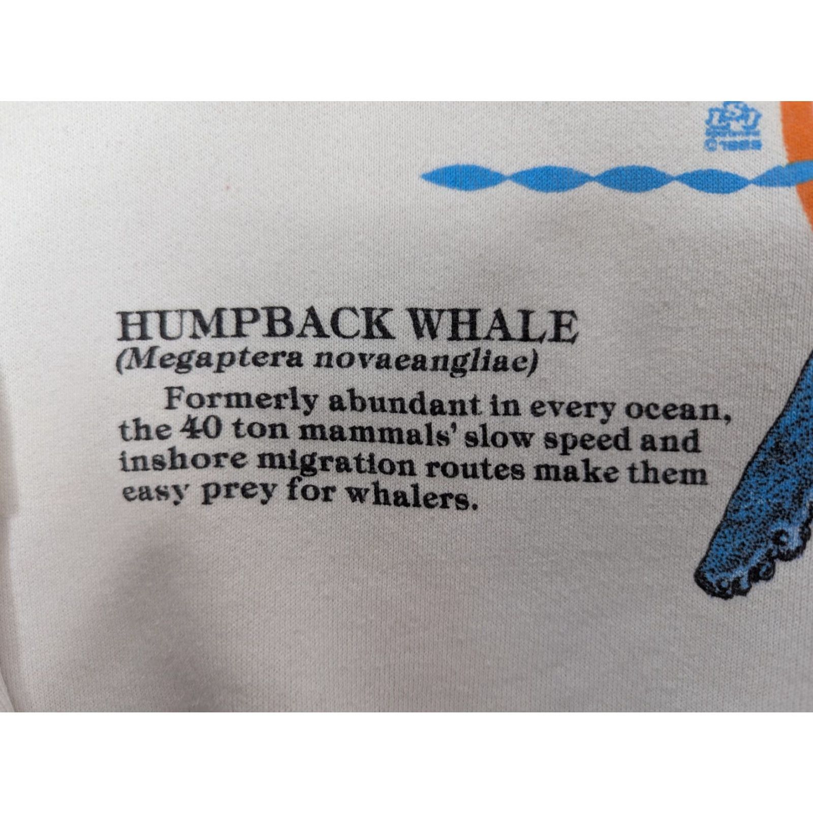 Lee VINTAGE Lee Sweatshirt Humpback Whale Mammal Graphic Crewneck Size Large USA Men Woolly? Size US L / EU 52-54 / 3 - 4 Thumbnail