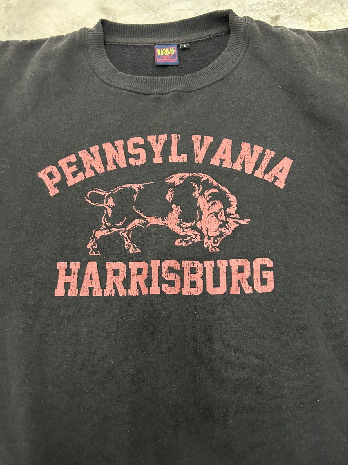 Vintage Vintage Pennsylvania Harrisburg Radical Change Sweatshirt Size US L / EU 52-54 / 3 - 2 Thumbnail