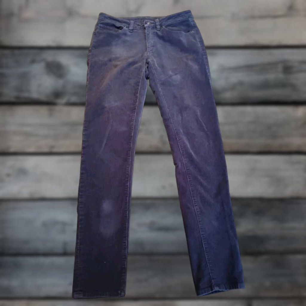Patagonia Patagonia Corduroy Pants Womens 27 Slim Fit Skinny 55055 Organic Cotton VGUC Blue/Gray Size 27" / US 4 / IT 40 - 1 Thumbnail