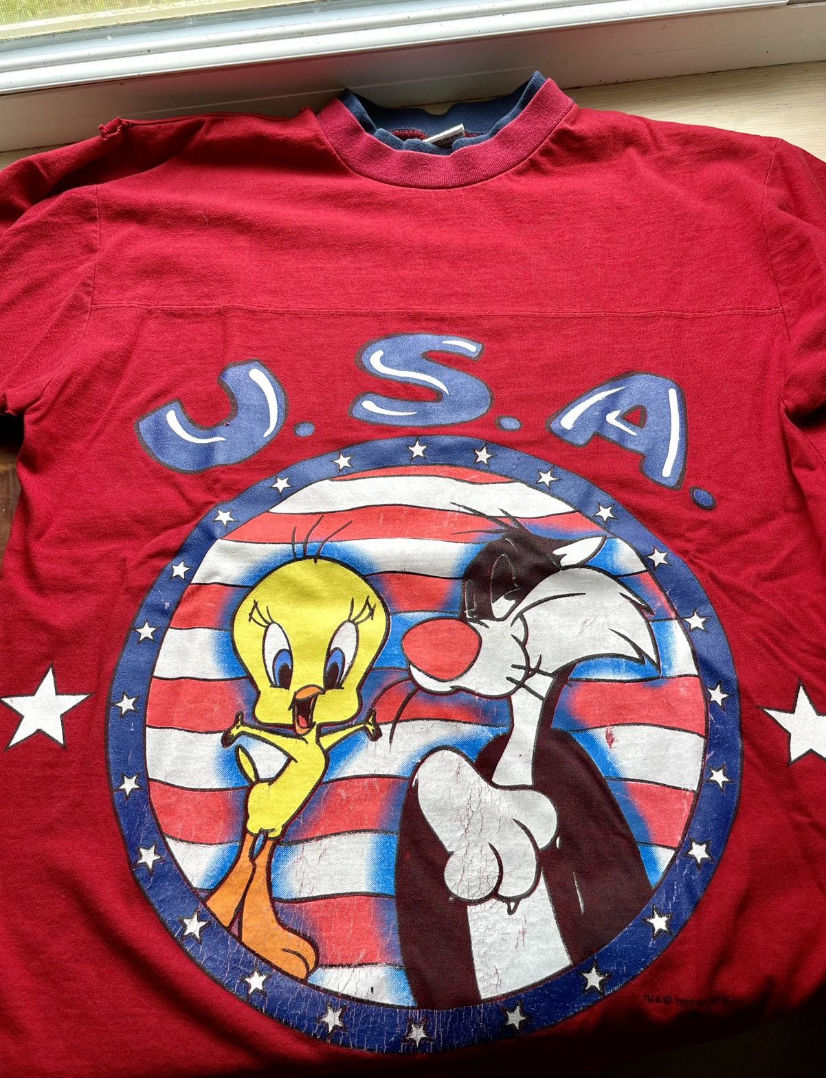 MIRAGE×LOONEY TUNES 90sヴィンテージオールレザー本日最終日 Vintage 90s Looney Tunes USA Freeze Shirt Warner Bros