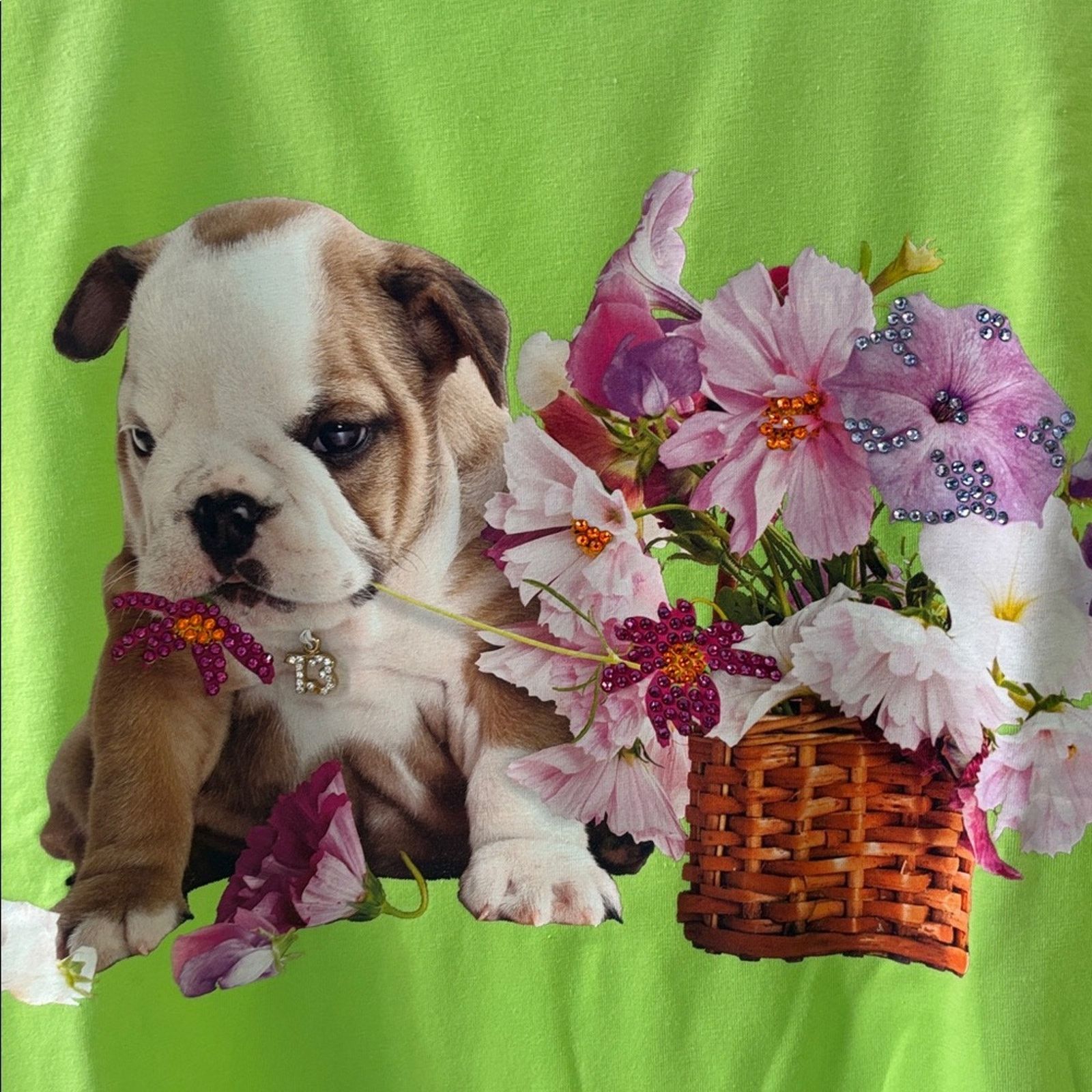 Other NWT Swarovski Lime Green Blouse with Puppy and Floral Size M Size M / US 6-8 / IT 42-44 - 2 Thumbnail