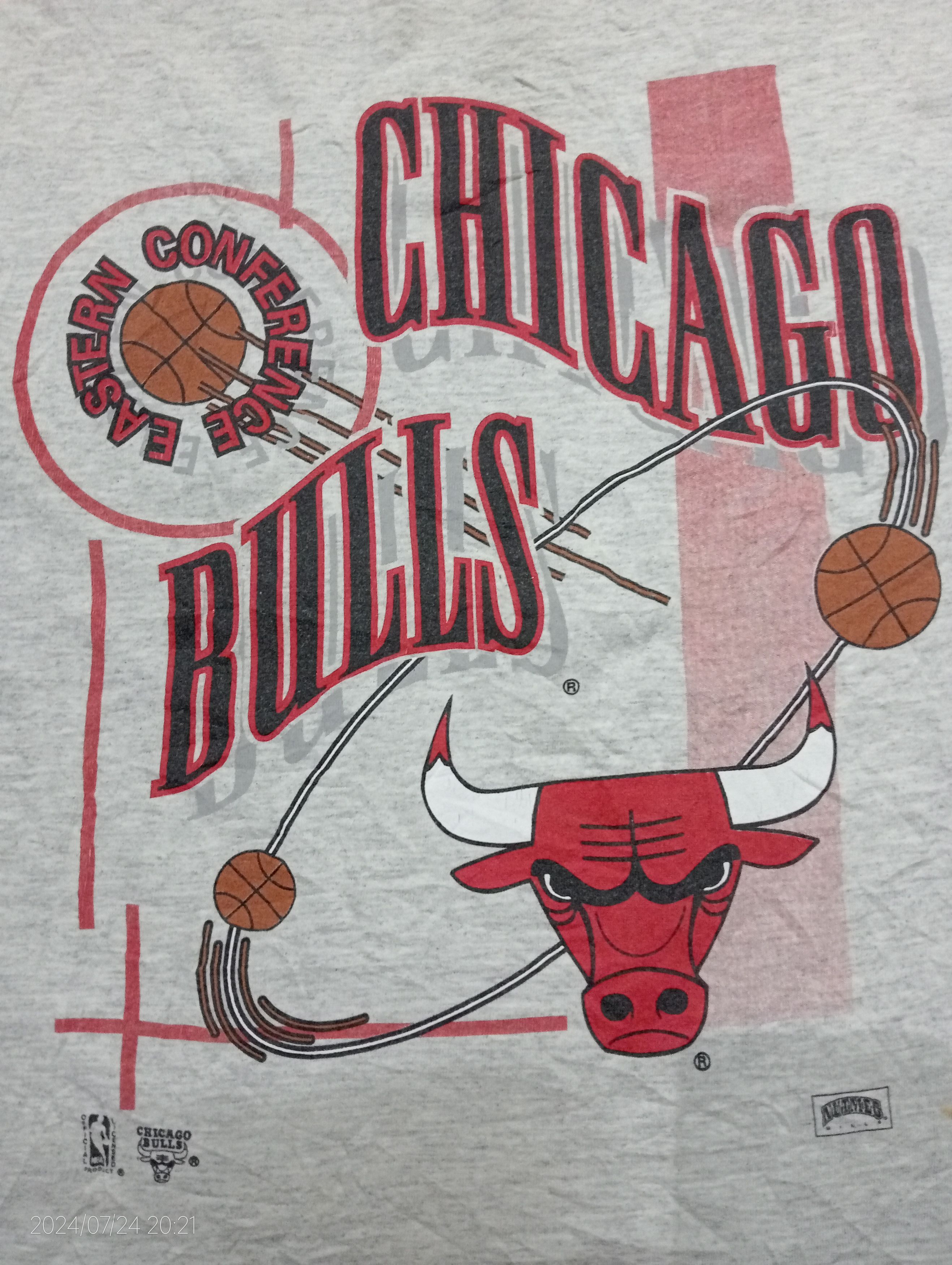 Nutmeg Vintage '90s Nutmeg Mills NBA Chicago Bulls Tee USA Size US L / EU 52-54 / 3 - 4 Thumbnail