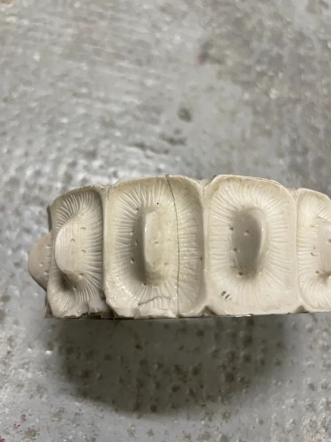 Helmut Lang SS2005 Helmut Lang Alligator Resin Bracelet Size ONE SIZE - 6 Thumbnail
