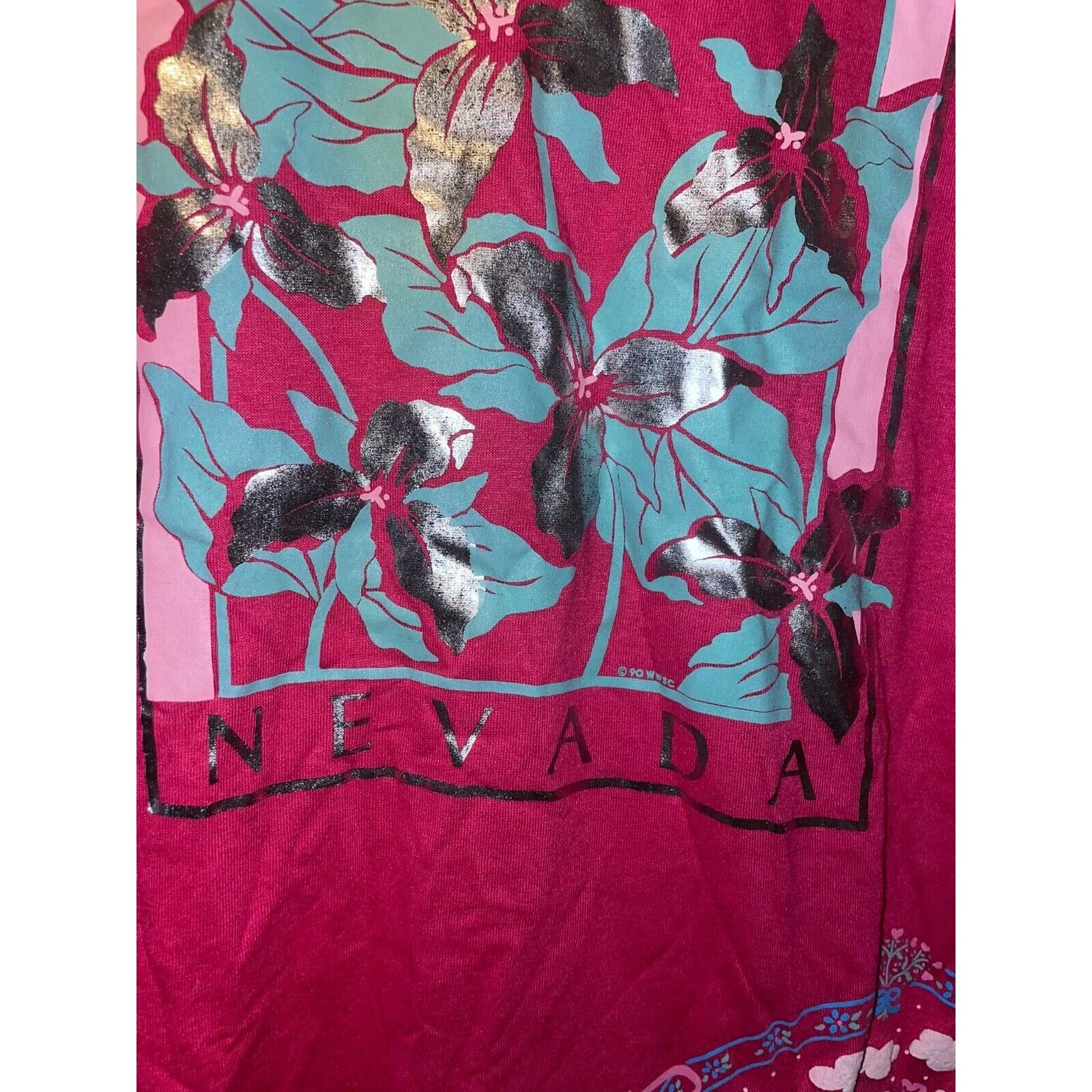 Jerzees Vintage Test Print Shirt Lake Tahoe Napa Bears Tee VTG 90s L Size US L / EU 52-54 / 3 - 5 Thumbnail
