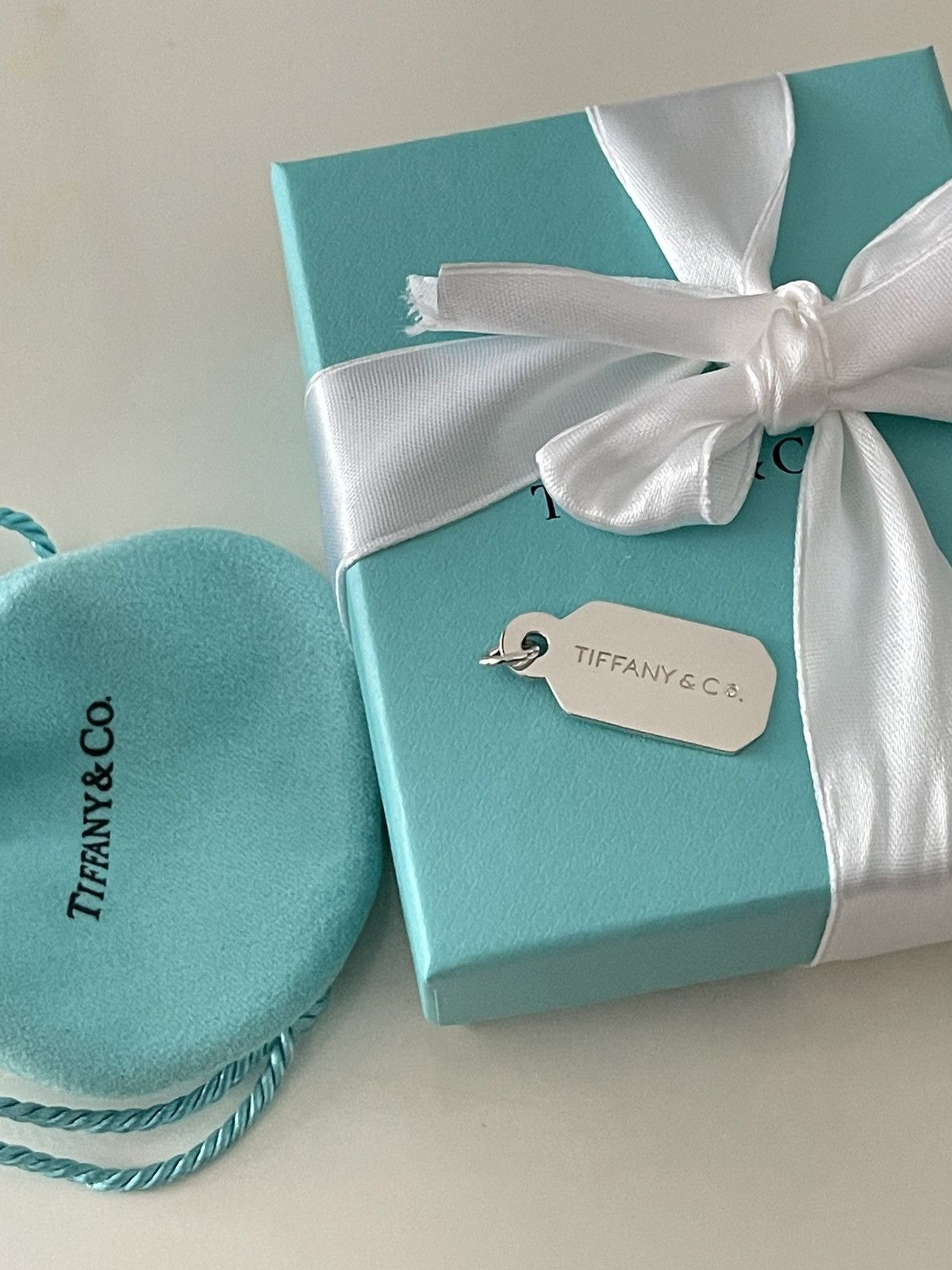 Tiffany & Co. Tiffany & Co. Dog tag with Diamond in Sterling Silver NEW Size ONE SIZE - 3 Thumbnail