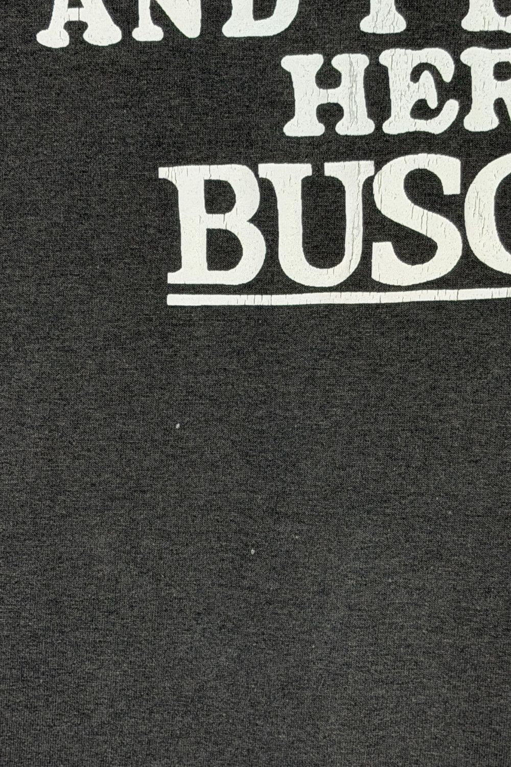 Vintage 70s Busch Mountains Tee – USA Single Stitch Platinum 50/50 Size US M / EU 48-50 / 2 - 7 Thumbnail