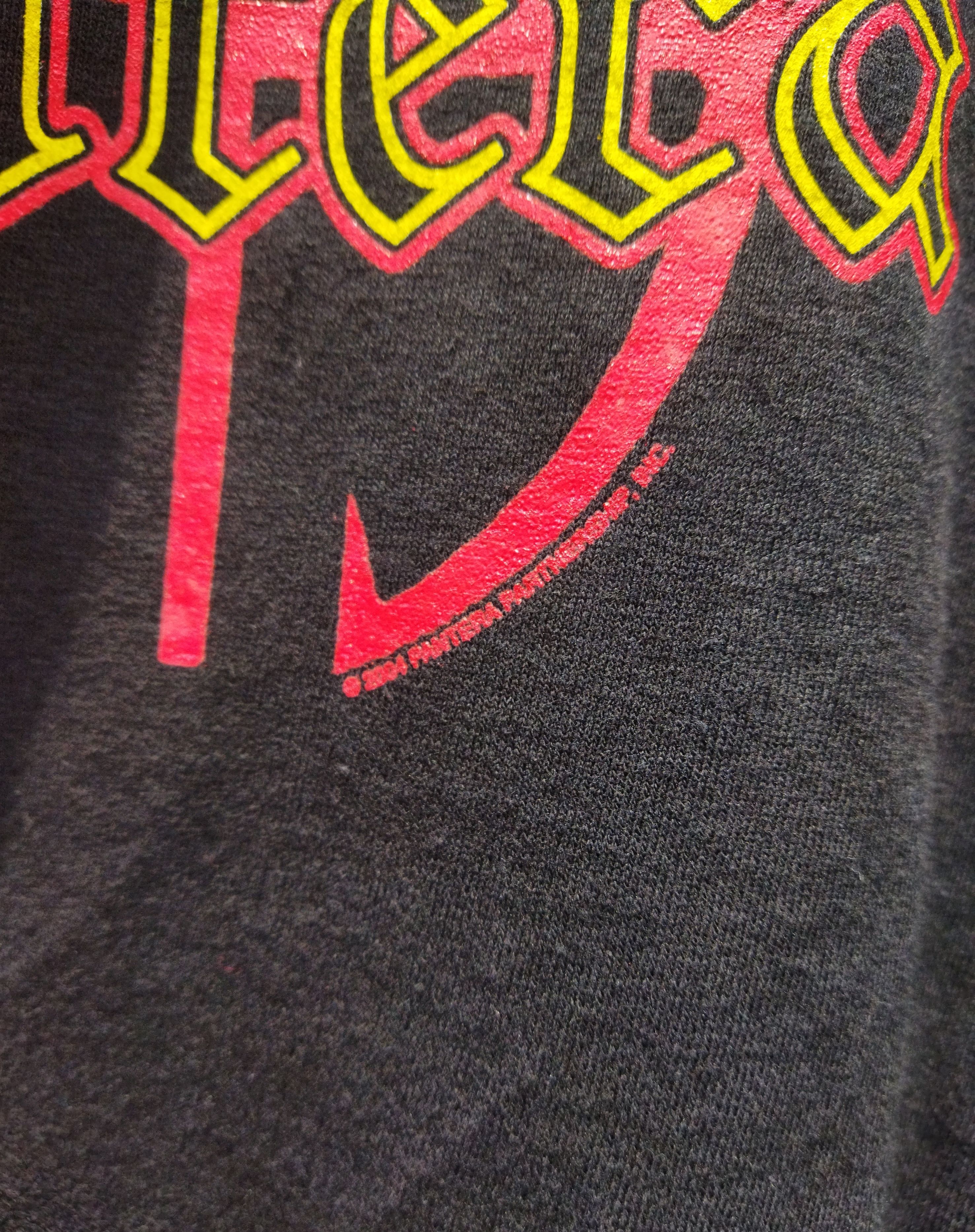 Band Tees PANTERA cfh skull Size US XL / EU 56 / 4 - 3 Thumbnail