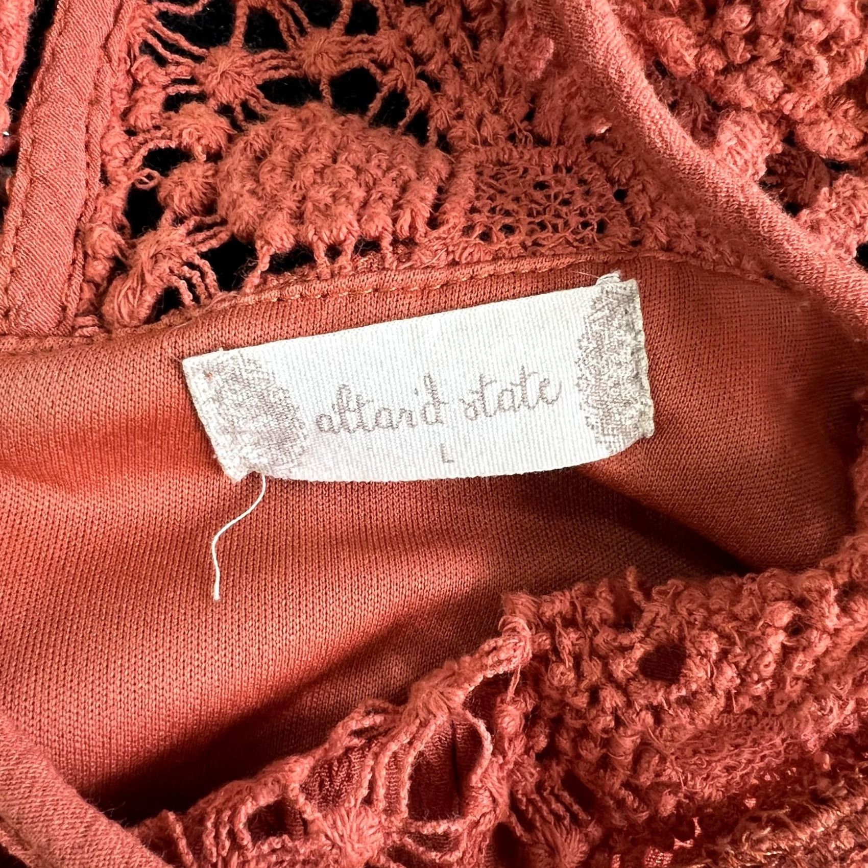 Vintage Altar'd State Dress Womens Large Orange Crochet Lace Sleeveless Swing Sundress Size L / US 10 / IT 46 - 2 Thumbnail