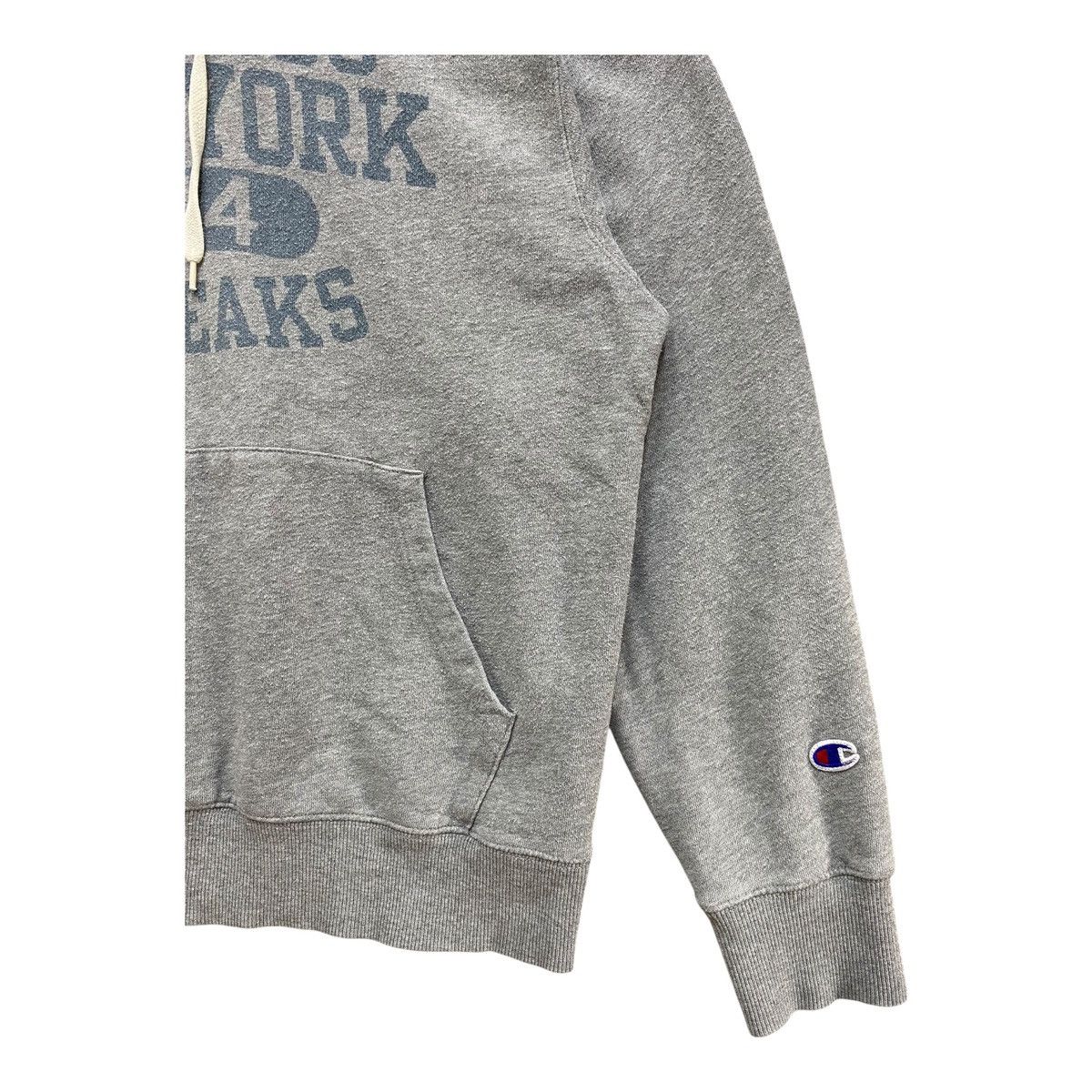 Champion Champion Canisius New York Hoodie Gray Size Medium Size US M / EU 48-50 / 2 - 3 Thumbnail