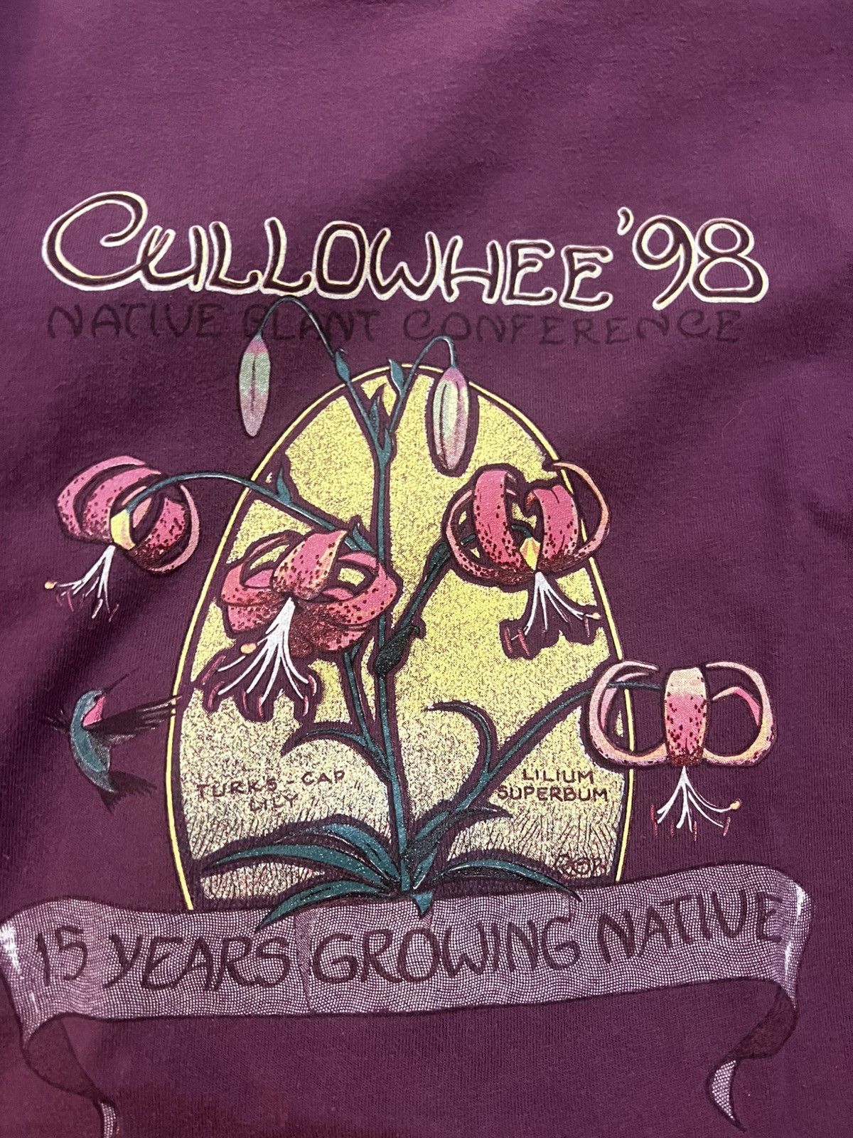 Hanes × Vintage Lot of 2 / 1998 Native Plant Conference Tees Size US XL / EU 56 / 4 - 4 Thumbnail