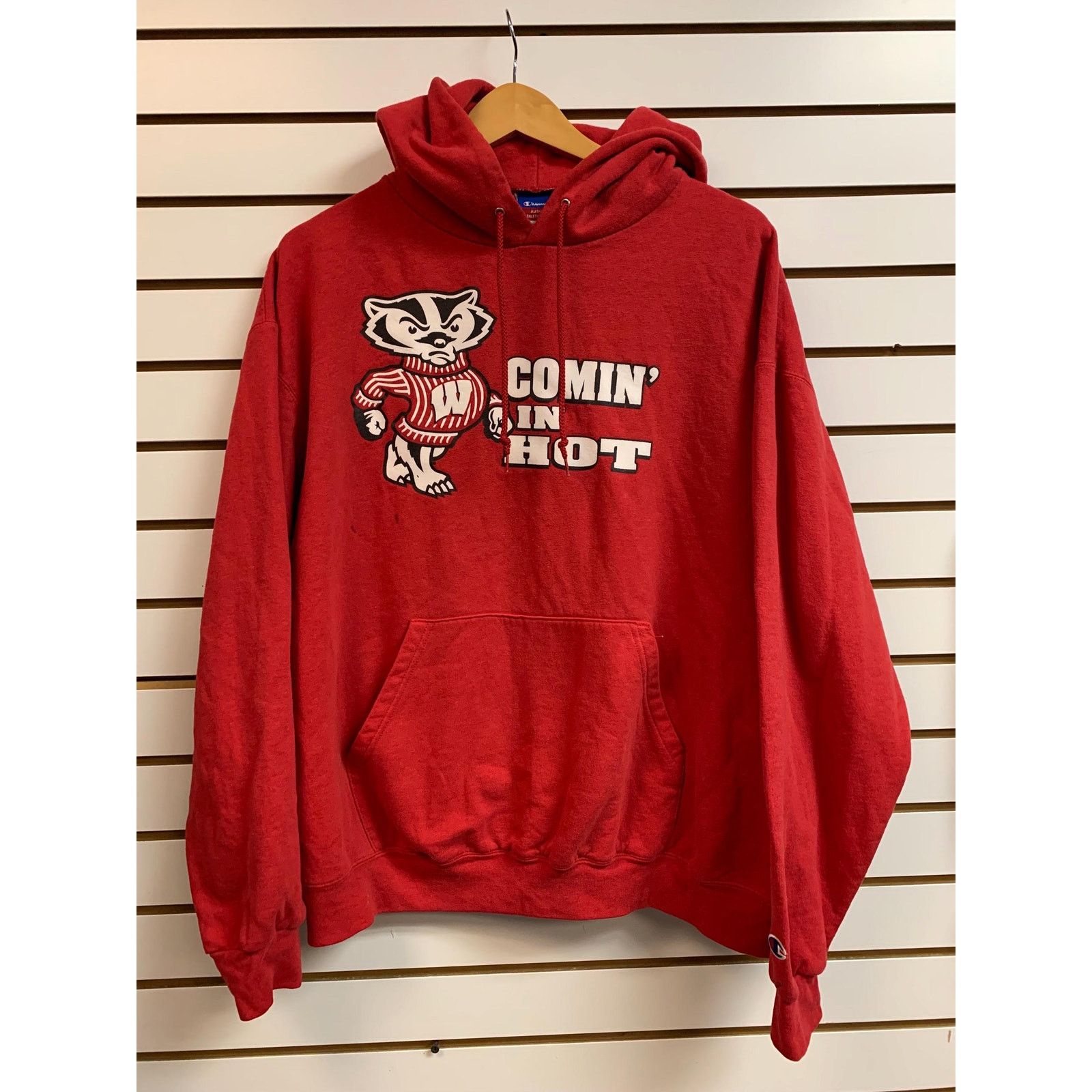 Champion Vintage Wisconsin Badgers champion hoodie size large Size US L / EU 52-54 / 3 - 1 Thumbnail