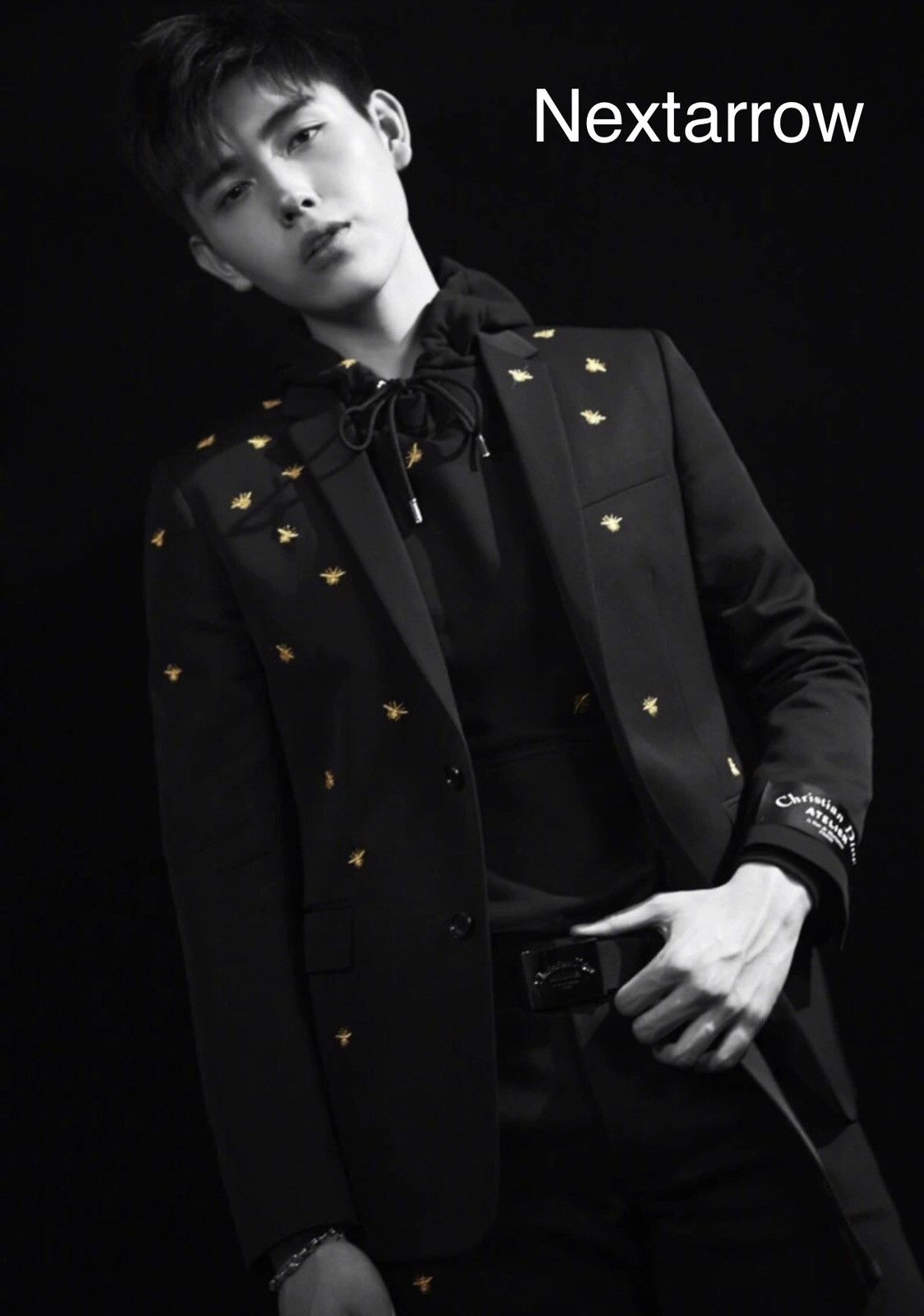 Dior Dior Homme 18SS Gold Capsule Series Suit2412-Nextarrow Size 46S - 2 Thumbnail