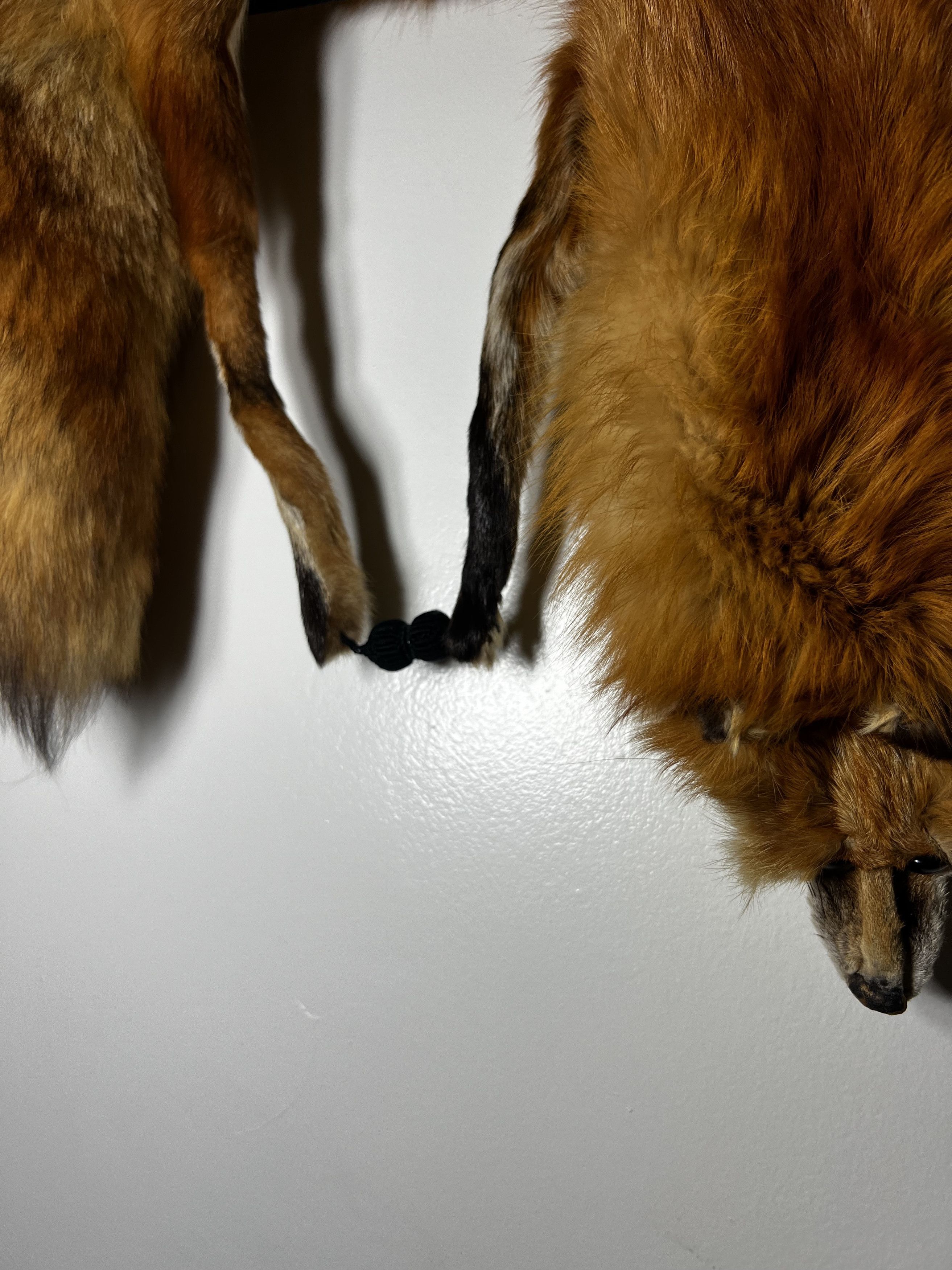 Other × Vintage Vintage 1940's-1950's Red Fox Fur Taxidermy Pelt - Fox Stole Size ONE SIZE - 3 Thumbnail