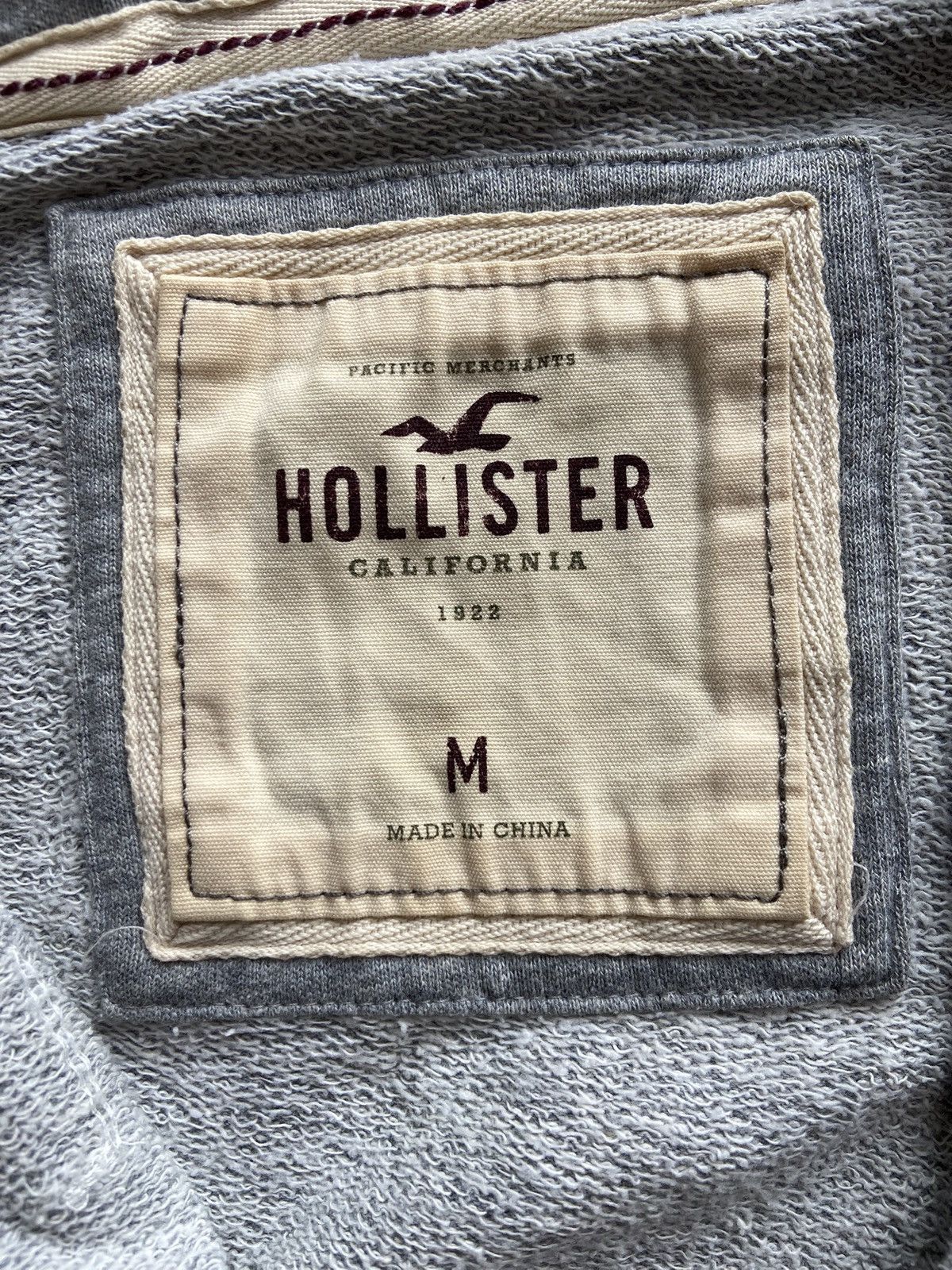 Hollister Hollister Zip Up Hoodie Size US M / EU 48-50 / 2 - 8 Thumbnail