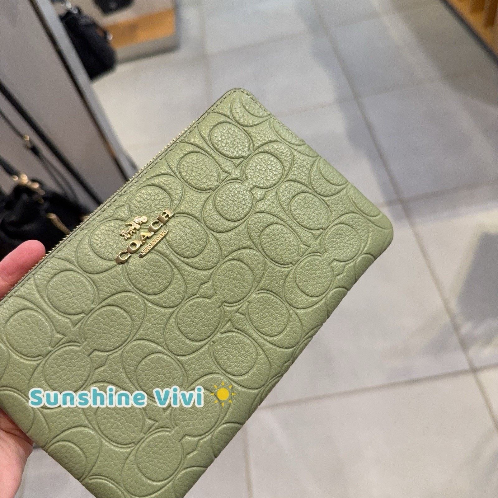 Coach NWT Coach Large Corner Zip Wristlet Pistachio leather CEF70 Size ONE SIZE - 2 Thumbnail