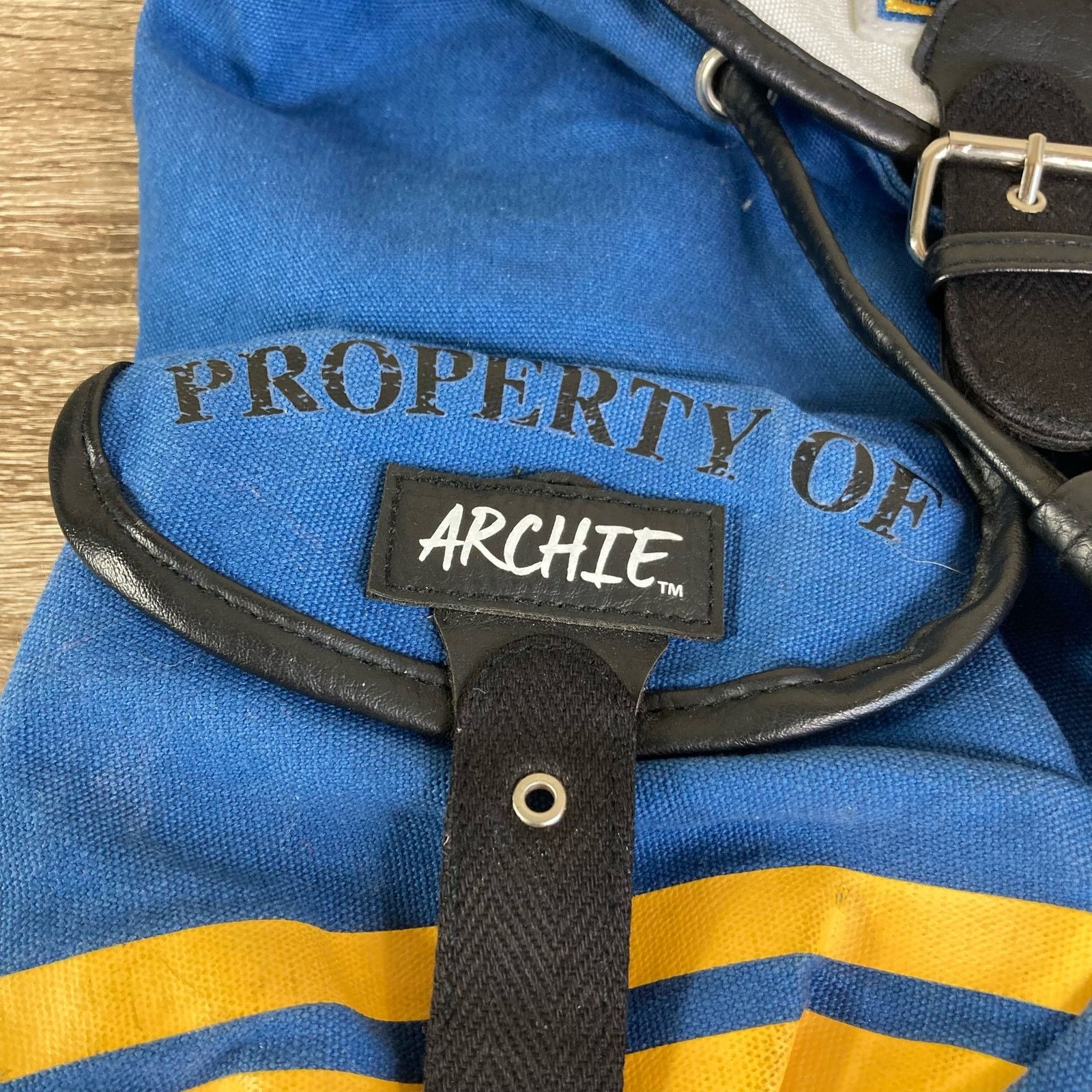 Other Riverdale Bag Backpack Archie Unisex Blue High School Size ONE SIZE - 7 Thumbnail
