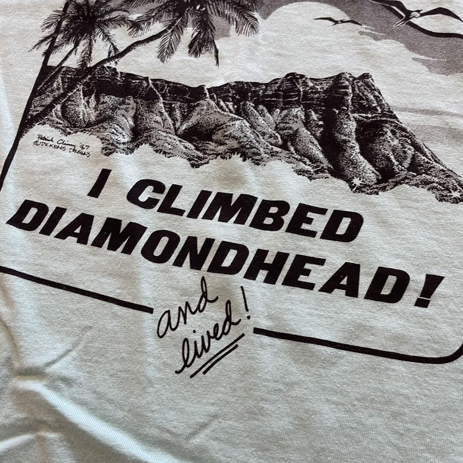 Vintage Vtg Diamond Head Shirt L Hawaii I Climbed Made USA 80s Size US L / EU 52-54 / 3 - 5 Thumbnail