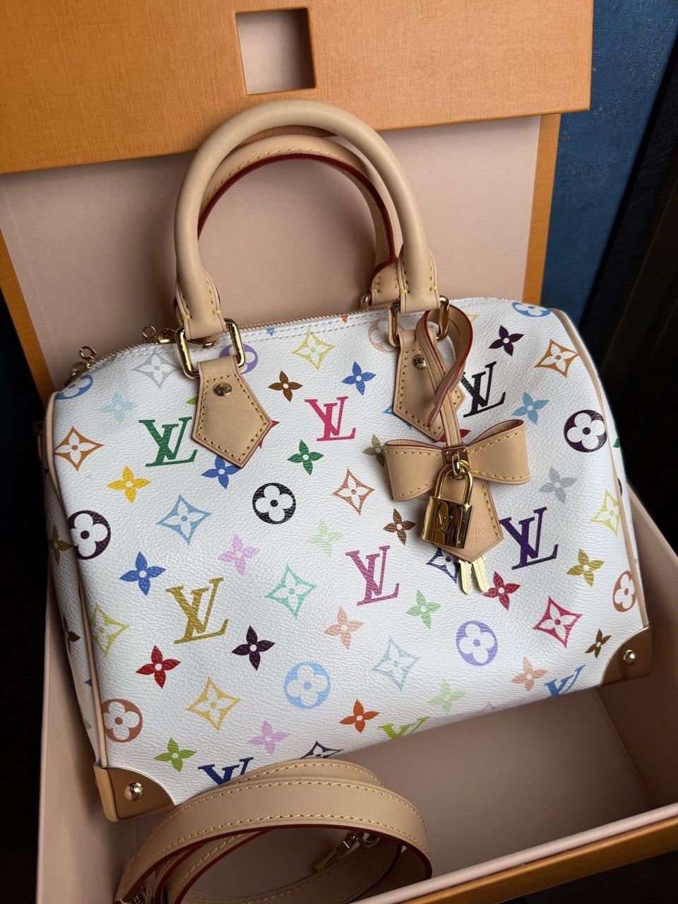 Louis Vuitton × Takashi Murakami Louis Vuitton Monogram Multicolore Speedy Size ONE SIZE - 4 Thumbnail