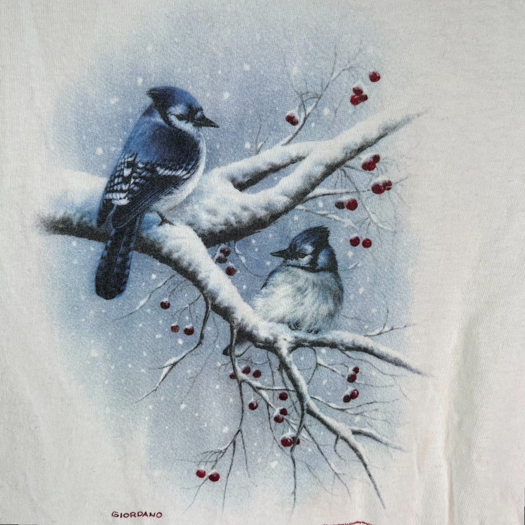 Gildan VINTAGE Wildlife Land Trust Giordano Birds T-Shirt Men Adult Large White Cotton Bird Theme Short Sleeve Crew Neck Easy Care Size US L / EU 52-54 / 3 - 2 Thumbnail
