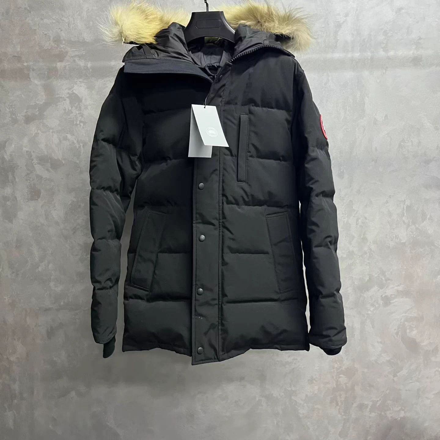 Canada Goose Canada Goose Red Label Solid Hooded Zipper Puffer S Size US S / EU 44-46 / 1 - 1 Thumbnail
