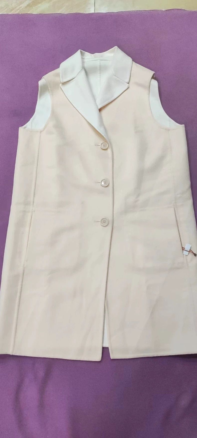 Loro Piana LORO PIANA Double-sided 100% cashmere vest Size M / US 6-8 / IT 42-44 - 2 Thumbnail