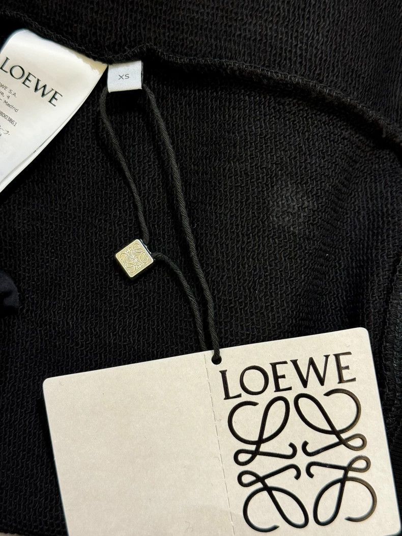Loewe LOEWE Cotton letter embroidery round neck hoodie Size XS / US 0-2 / IT 36-38 - 6 Thumbnail