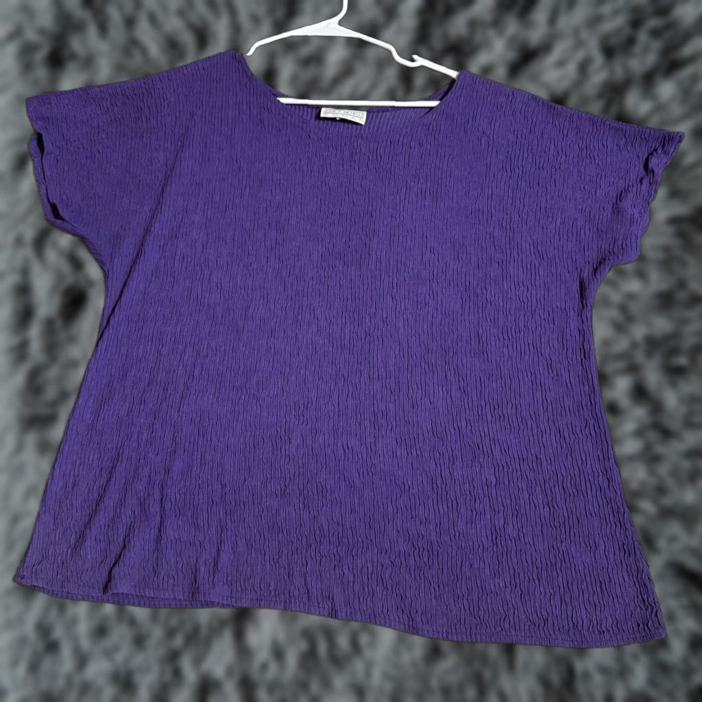 Vintage VINTAGE Jessica Michelle Top Women 20W Plus Size Boho 90s Lagenlook Crinkled Short Sleeve Round Neck Pullover Purple Nylon Acetate Blouse USA Womens Size 3XL / US 20-22 - 1 Thumbnail