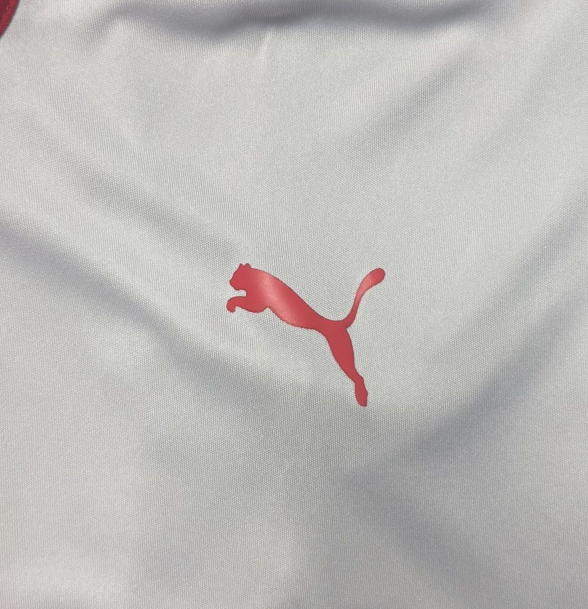 Puma Rotherham United 2021 2022 Home Shirt Soccer Jersey Puma Size US M / EU 48-50 / 2 - 13 Thumbnail