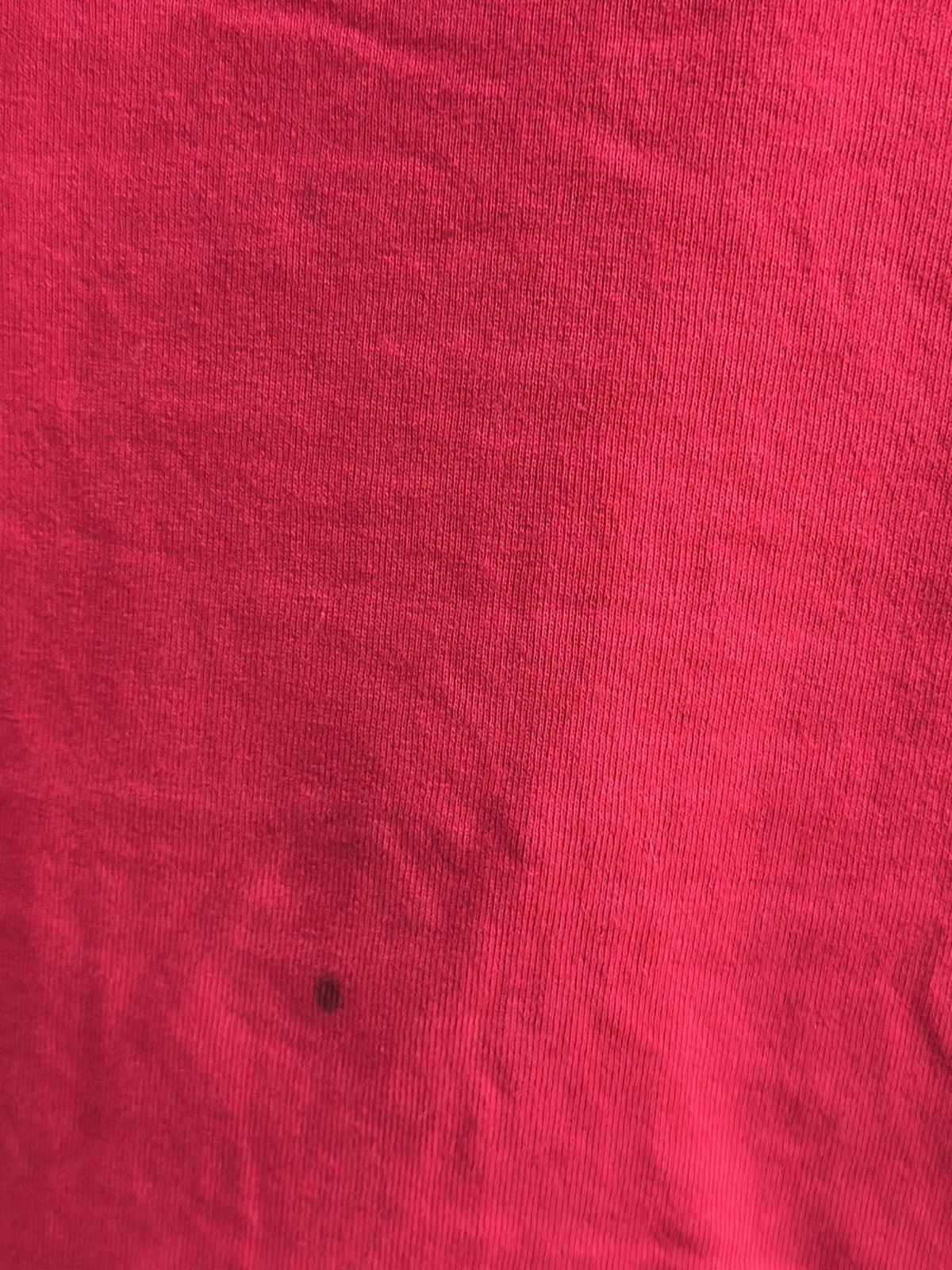 All Sport × Vintage Vintage All Sport Carp 2 Faded Tee Size US L / EU 52-54 / 3 - 3 Thumbnail