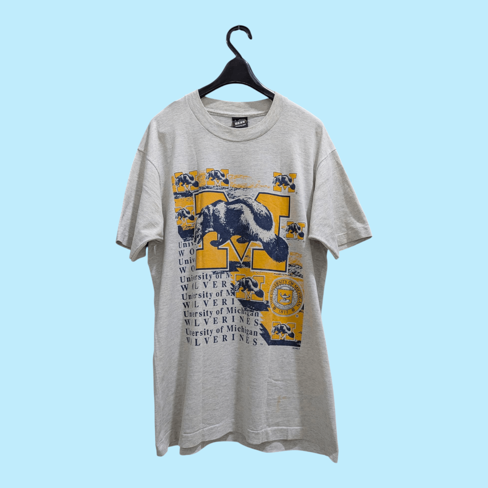 Fruit Of The Loom × Vintage Vintage wolverines university of Michigan royal-t Size US L / EU 52-54 / 3 - 1 Thumbnail